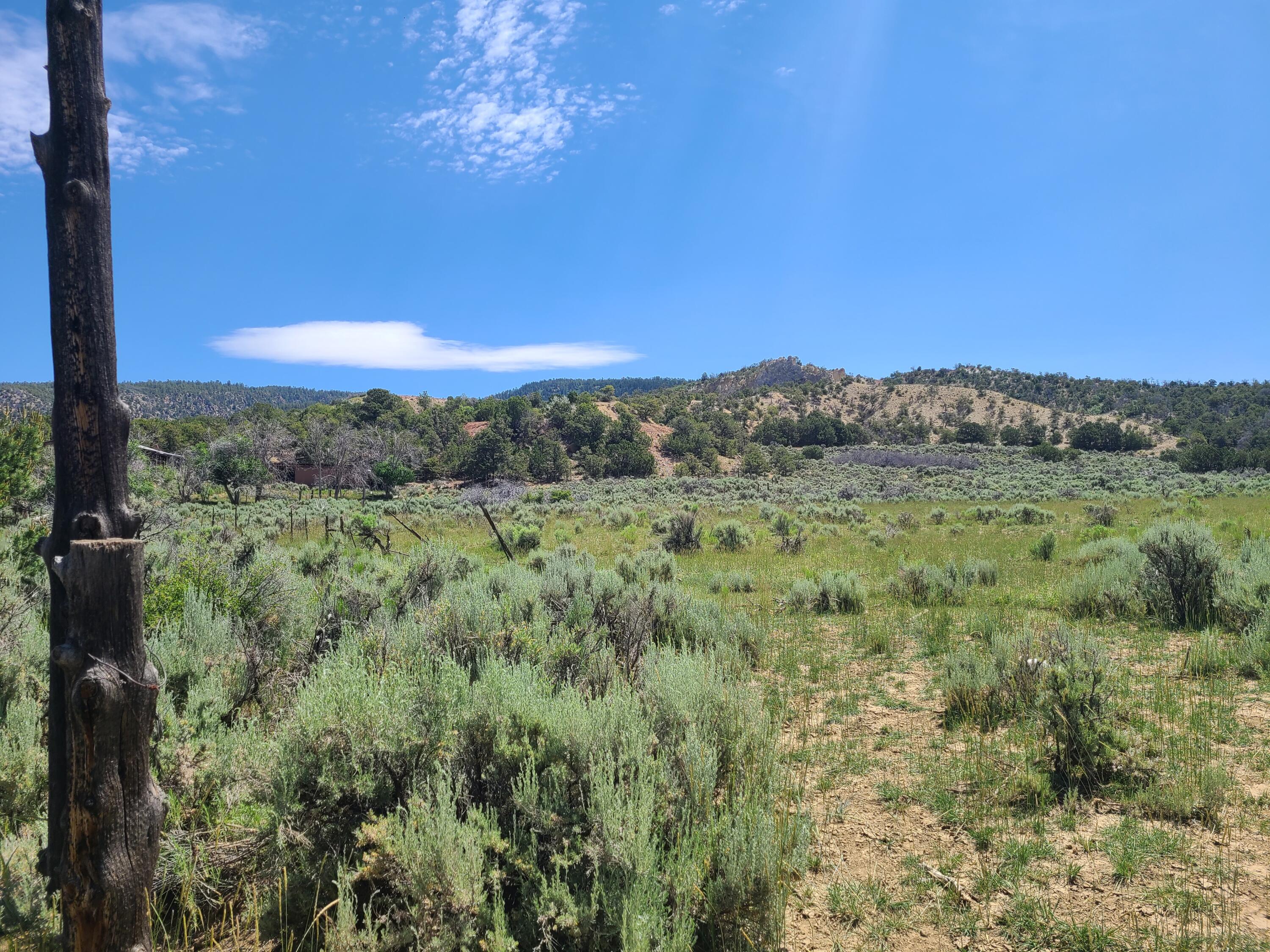 28 Arroyo Hondo Road