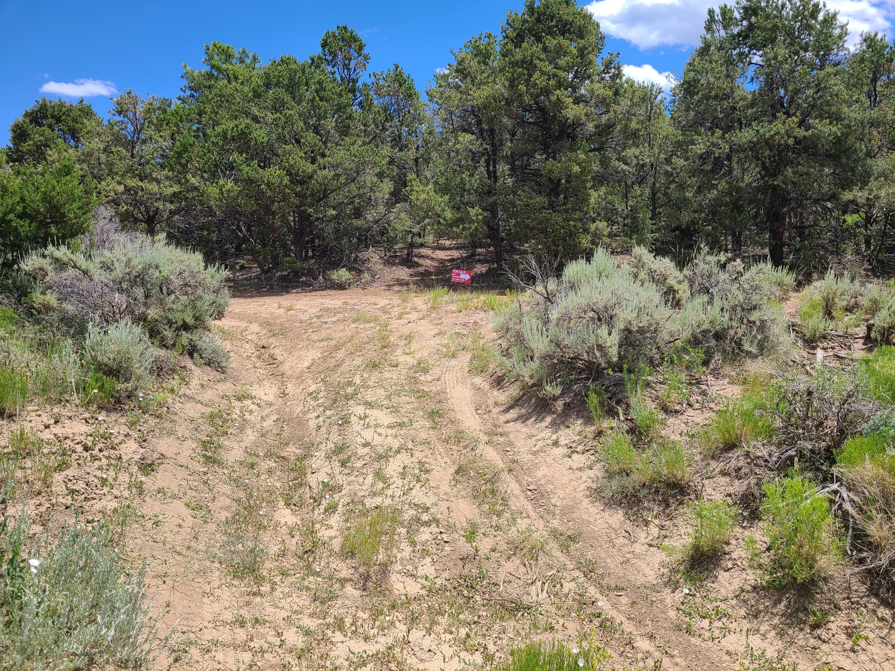 28 Arroyo Hondo Road