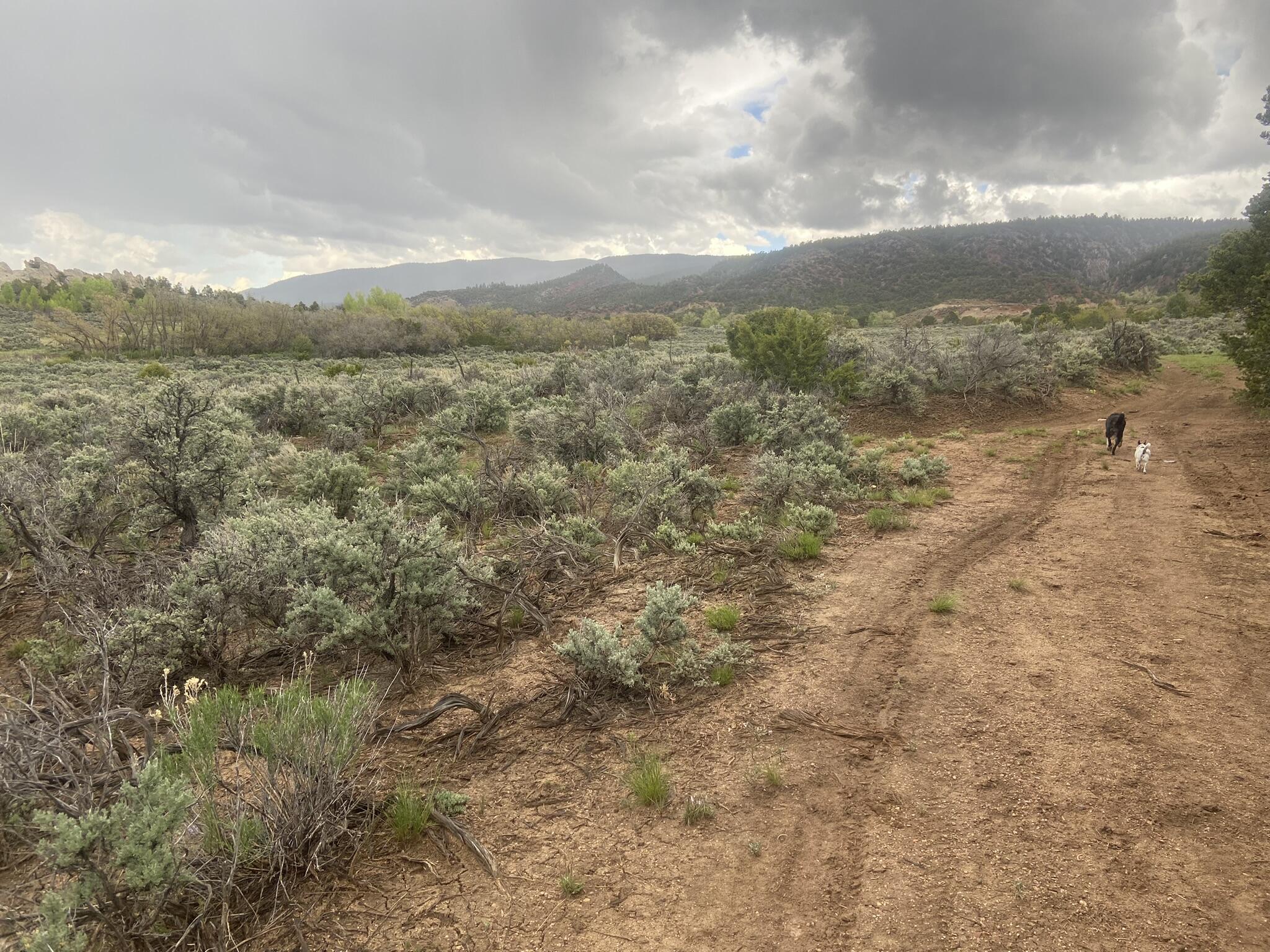 28 Arroyo Hondo Road