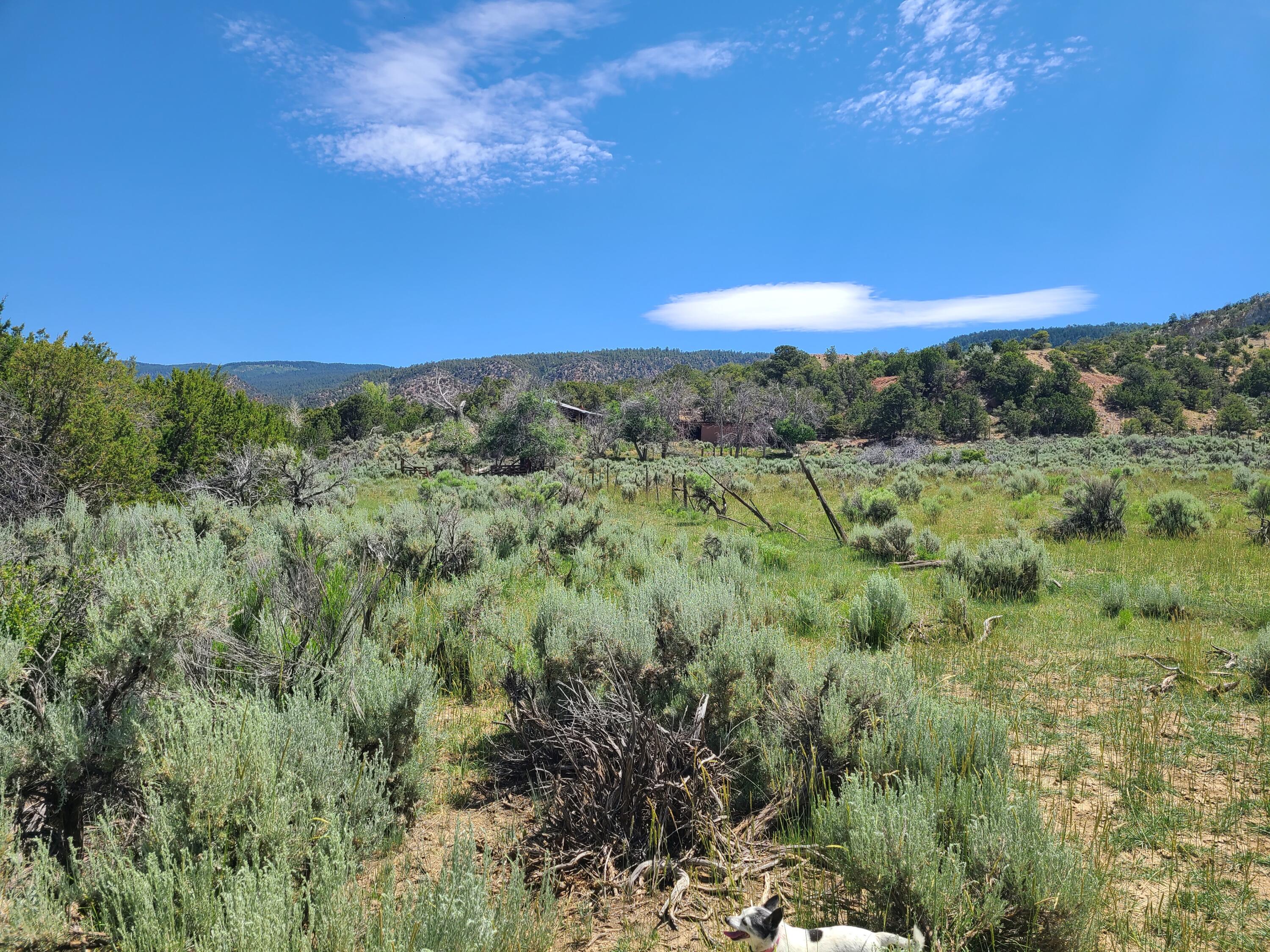 28 Arroyo Hondo Road