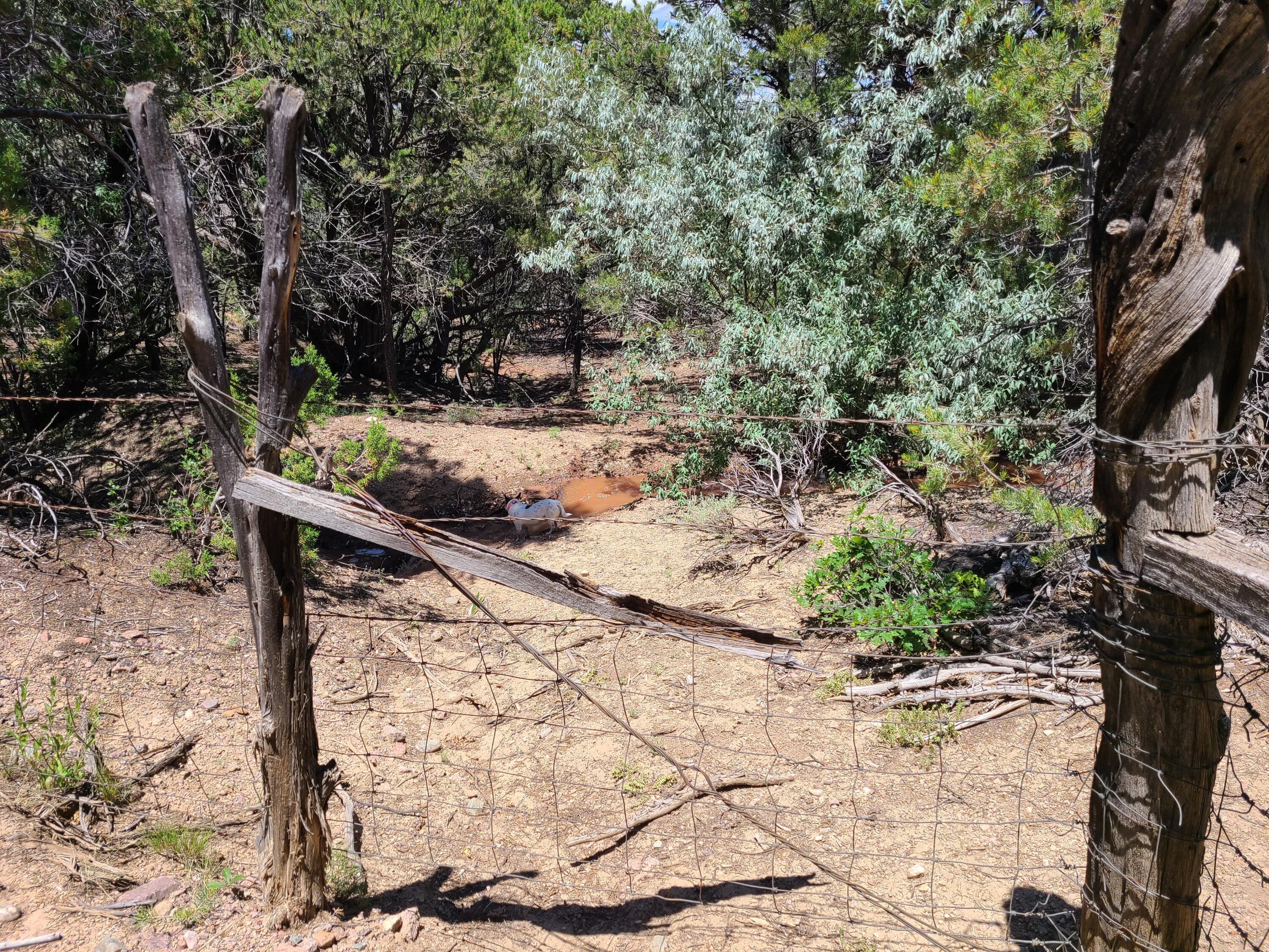 28 Arroyo Hondo Road