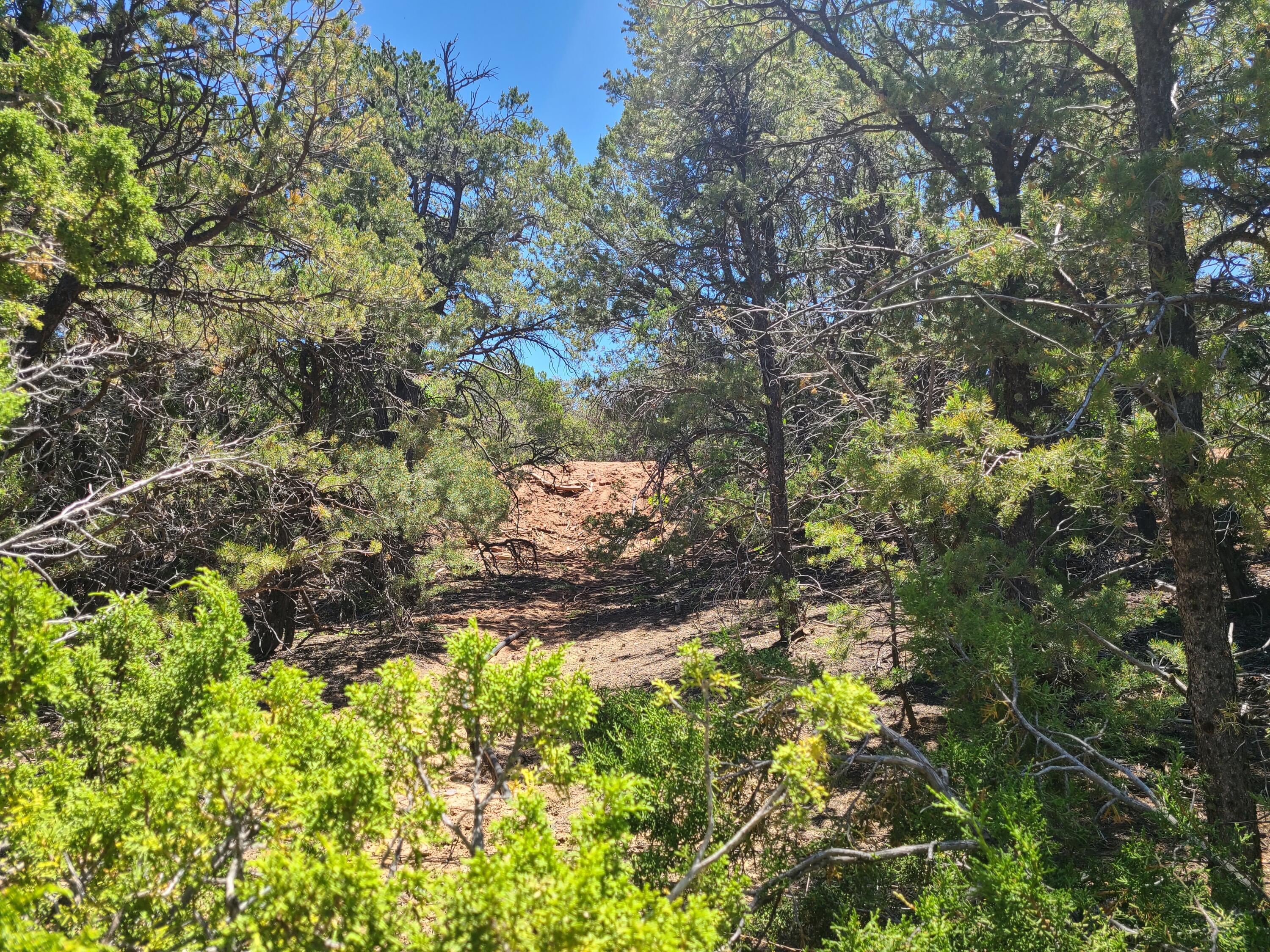 28 Arroyo Hondo Road