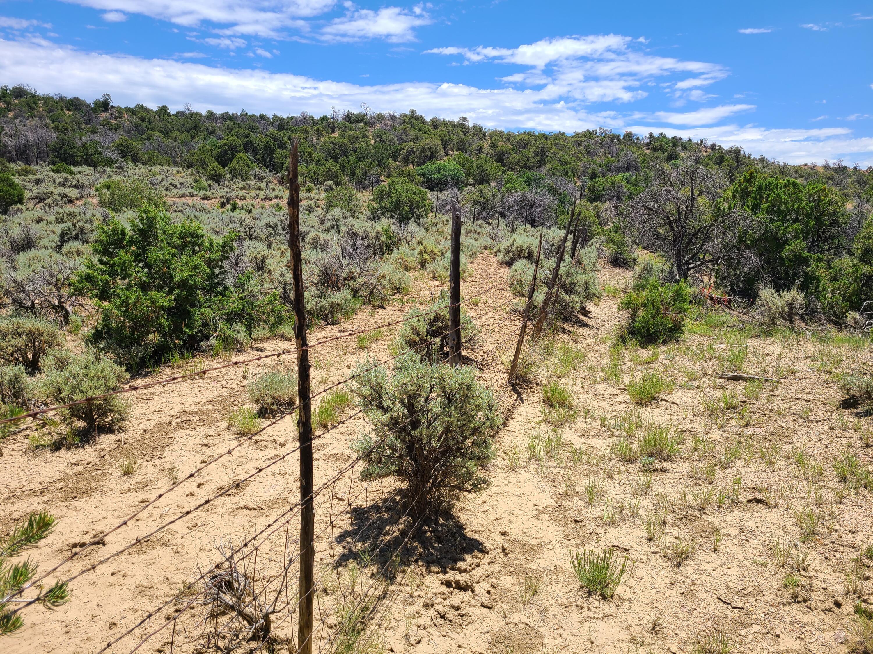 28 Arroyo Hondo Road