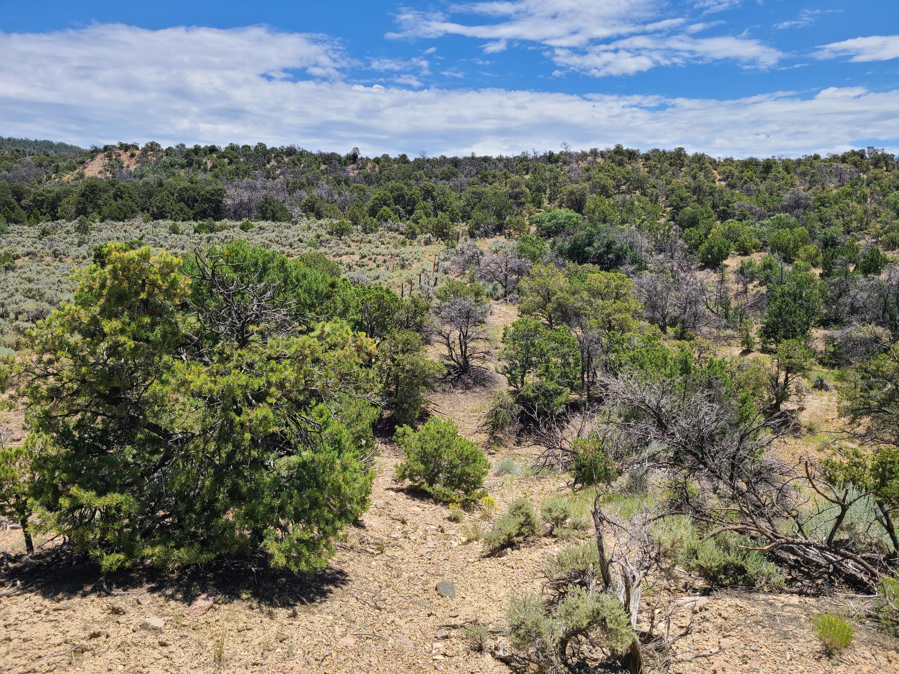 28 Arroyo Hondo Road