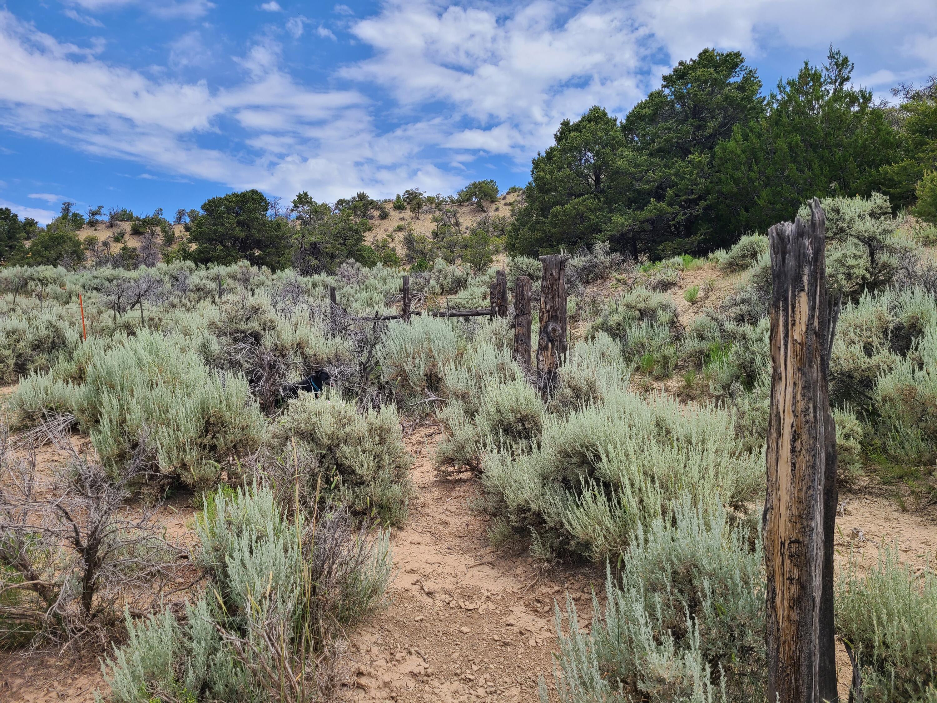 28 Arroyo Hondo Road