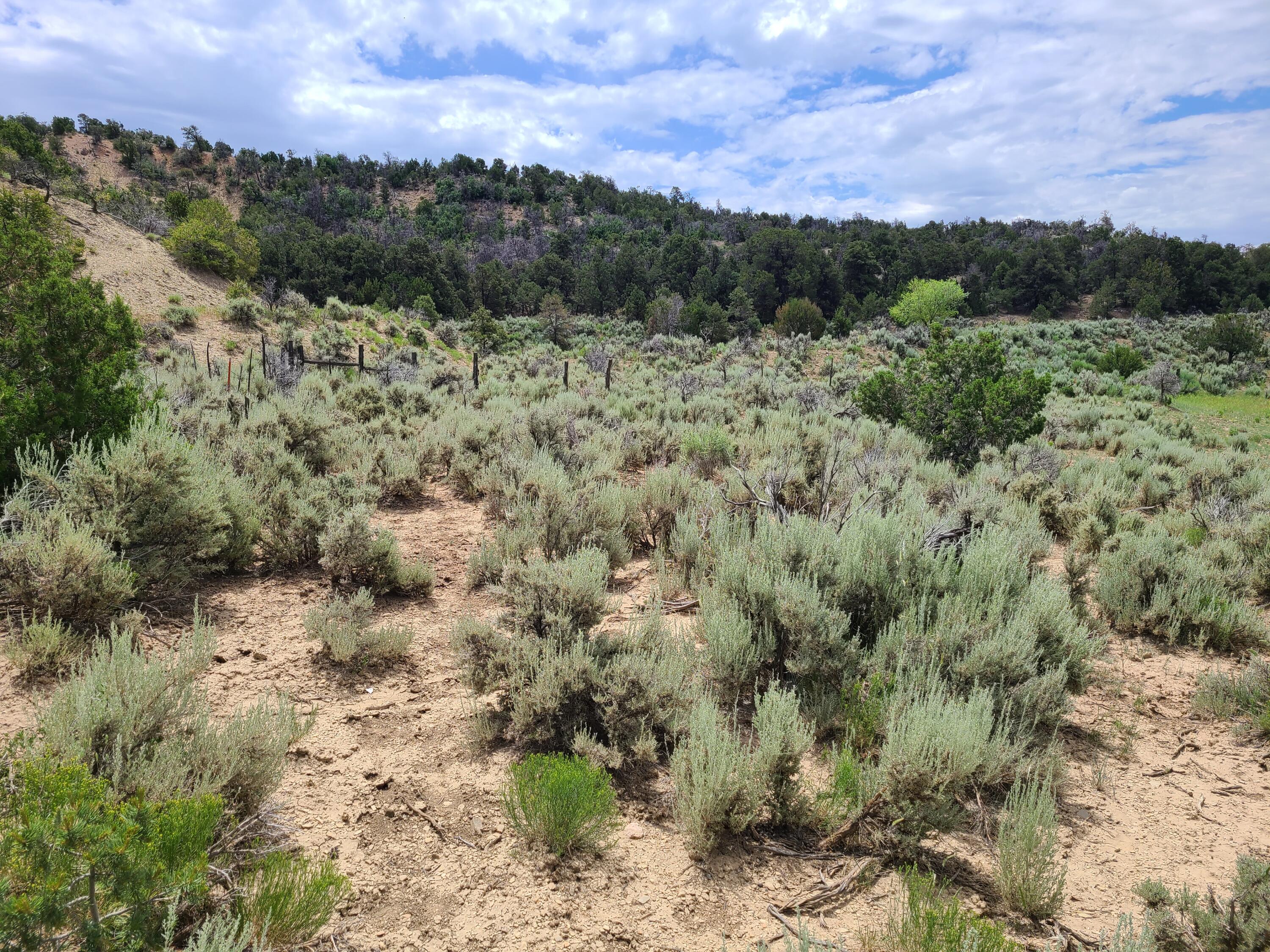 28 Arroyo Hondo Road