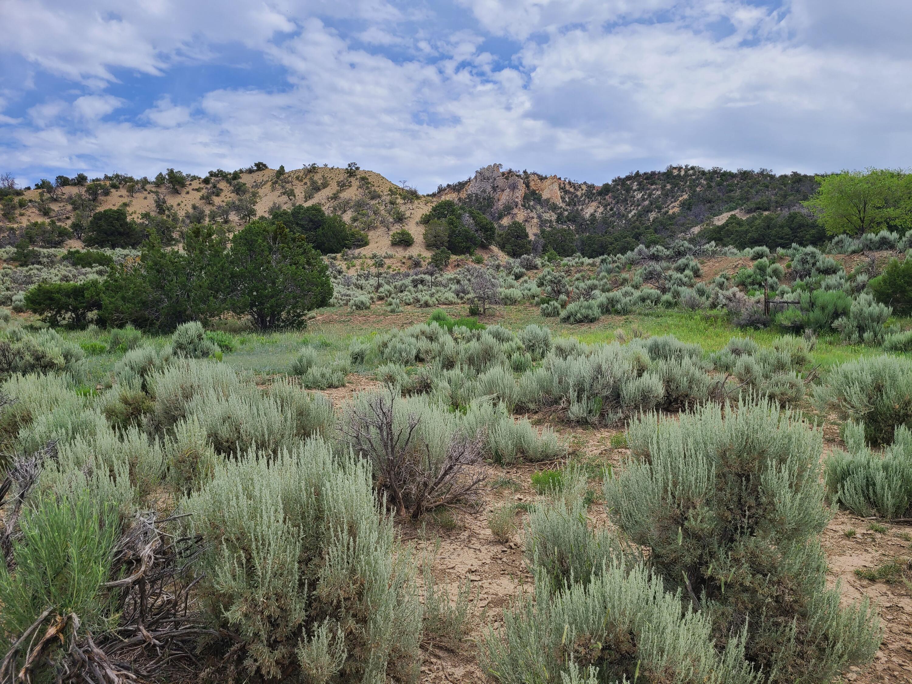 28 Arroyo Hondo Road