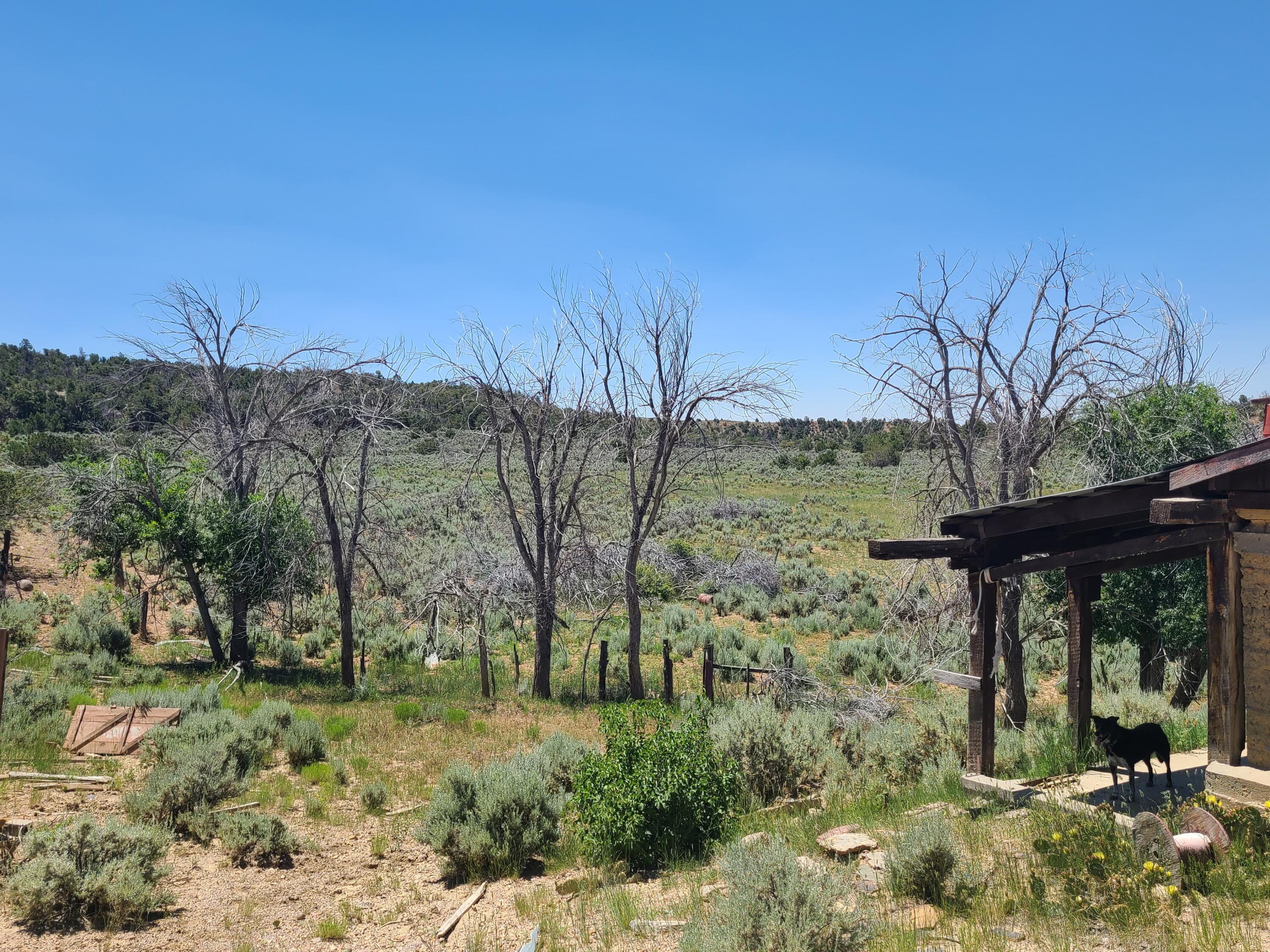 28 Arroyo Hondo Road