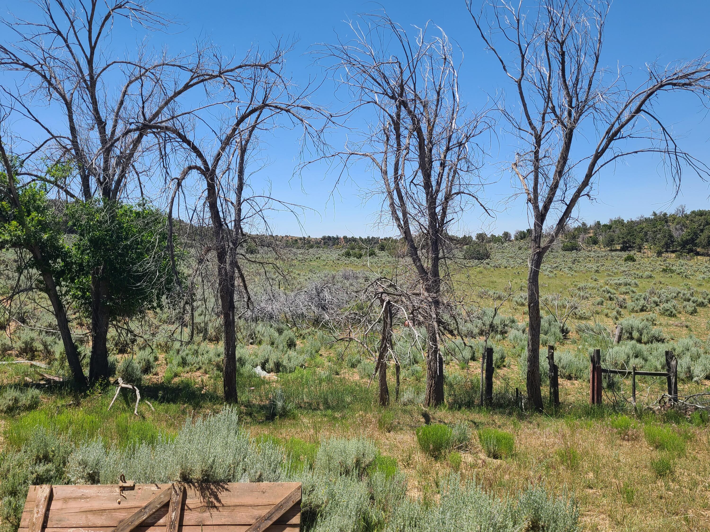 28 Arroyo Hondo Road