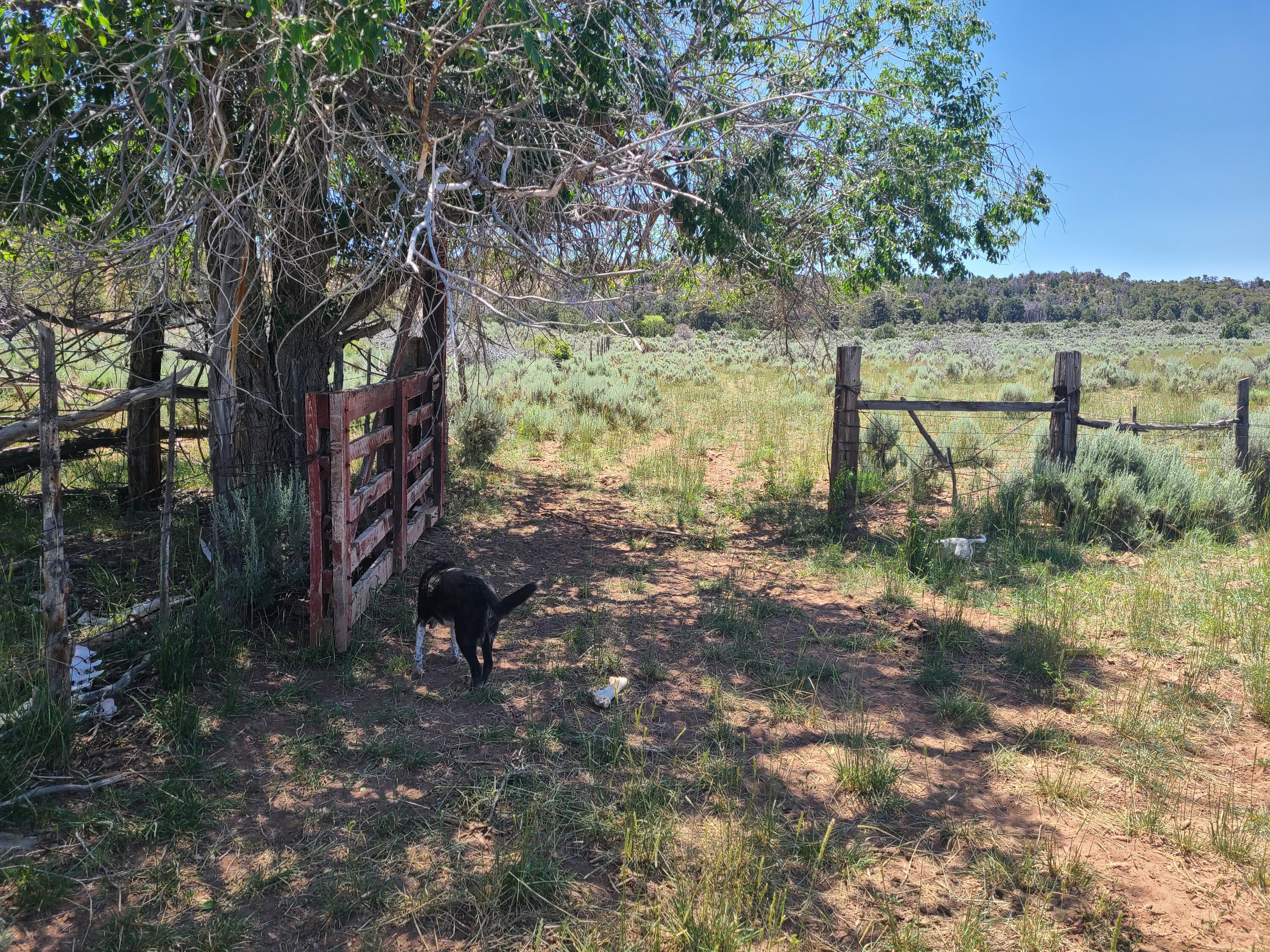 28 Arroyo Hondo Road