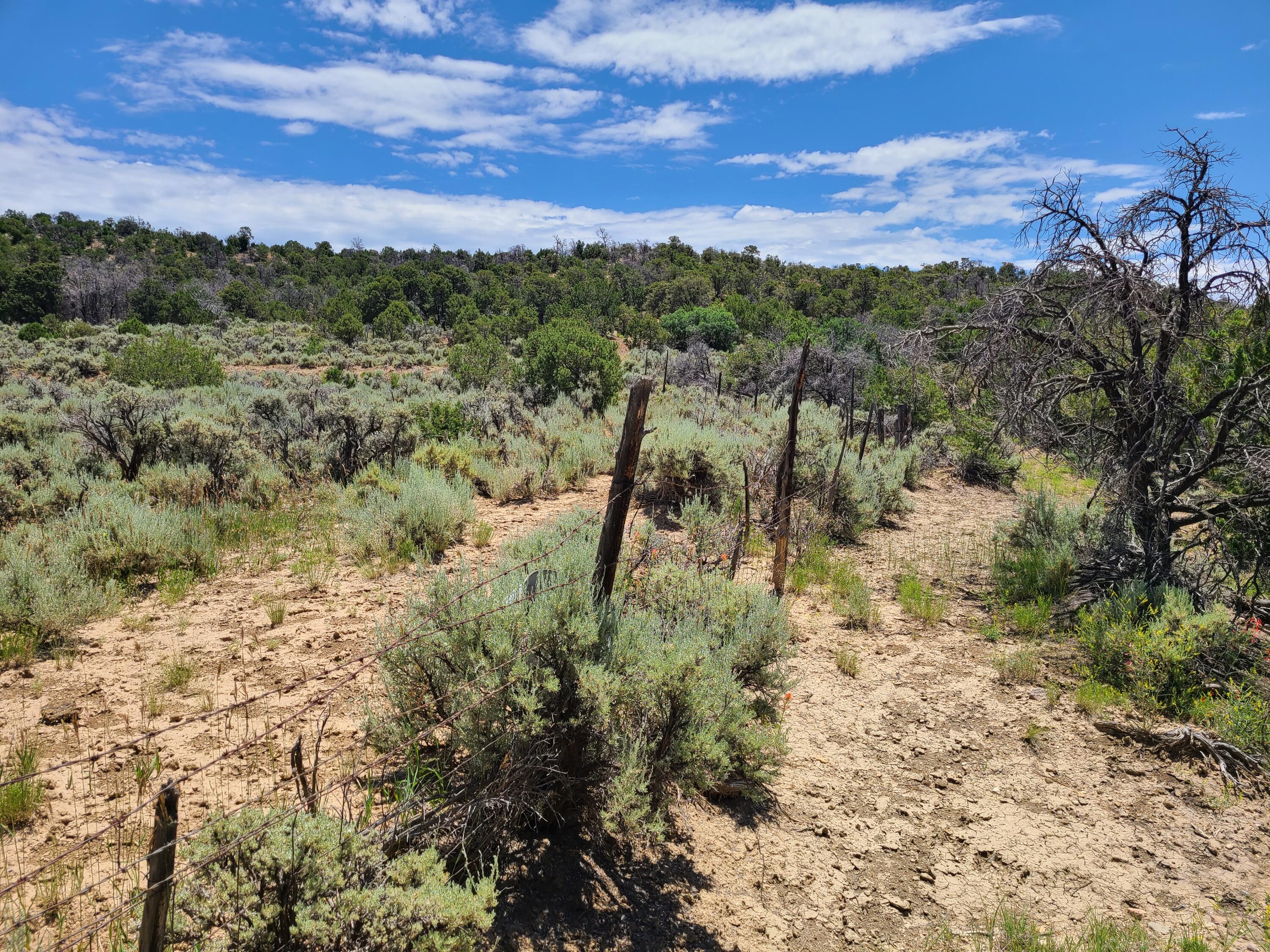 28 Arroyo Hondo Road