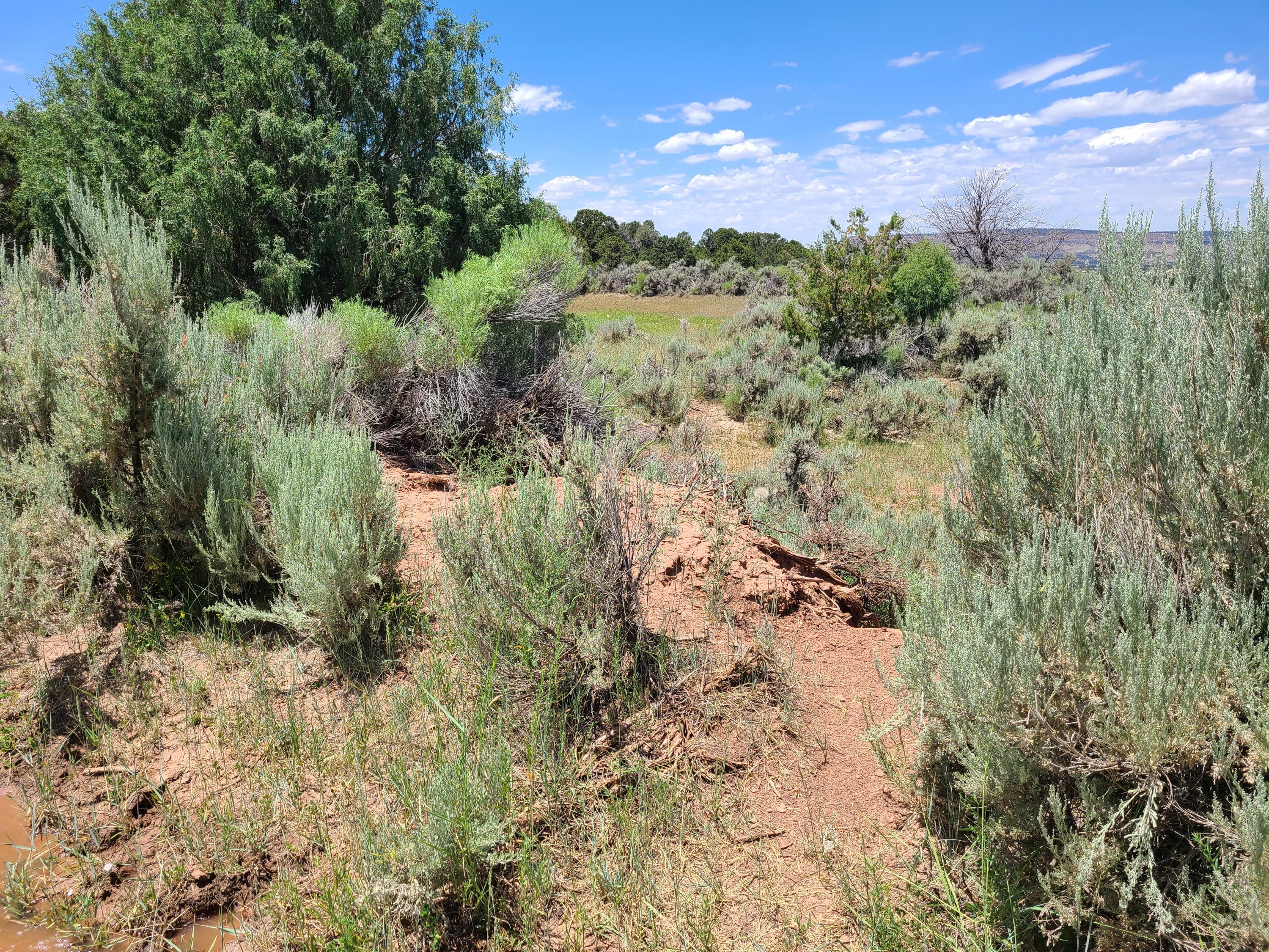 28 Arroyo Hondo Road