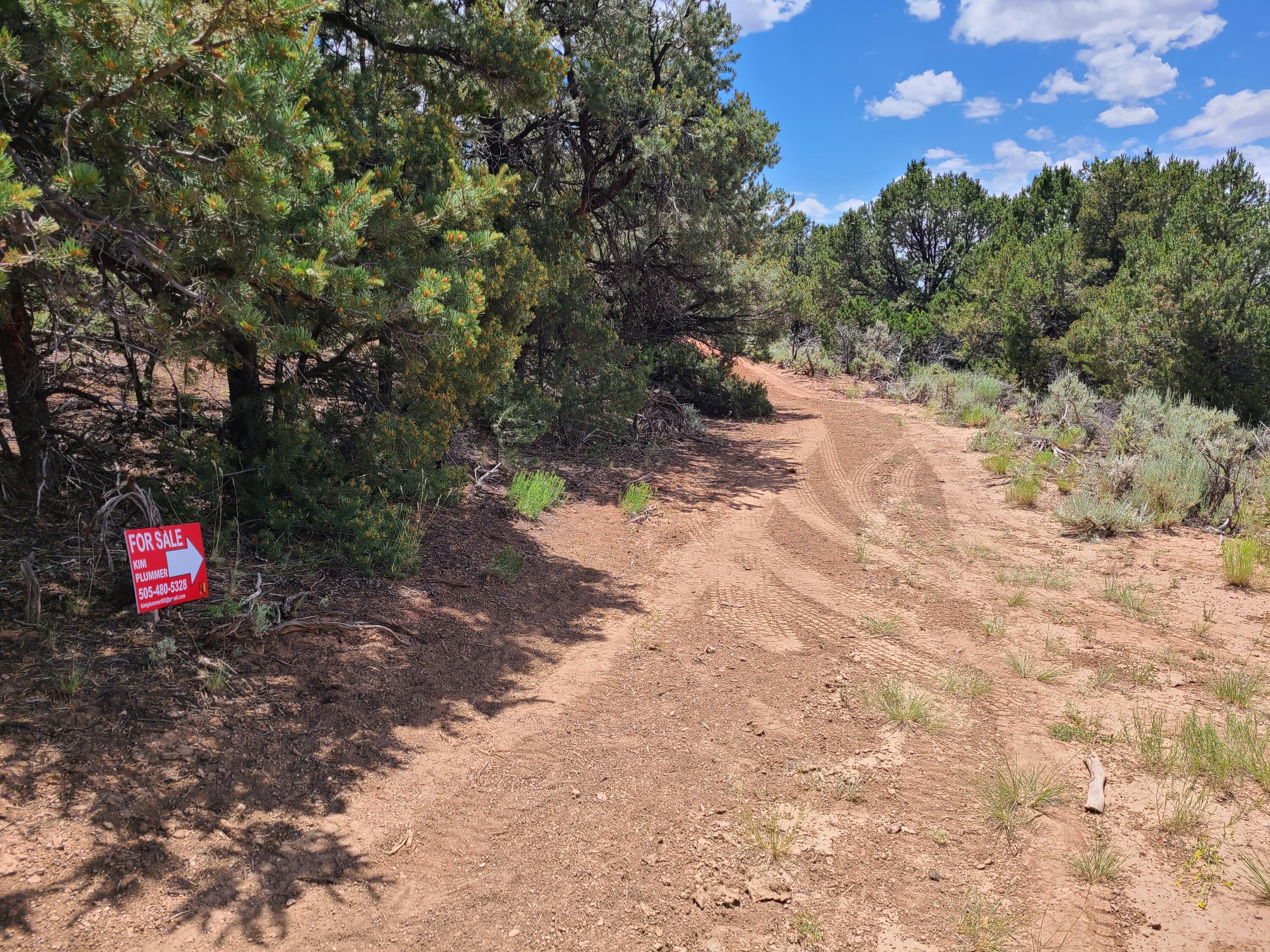 28 Arroyo Hondo Road
