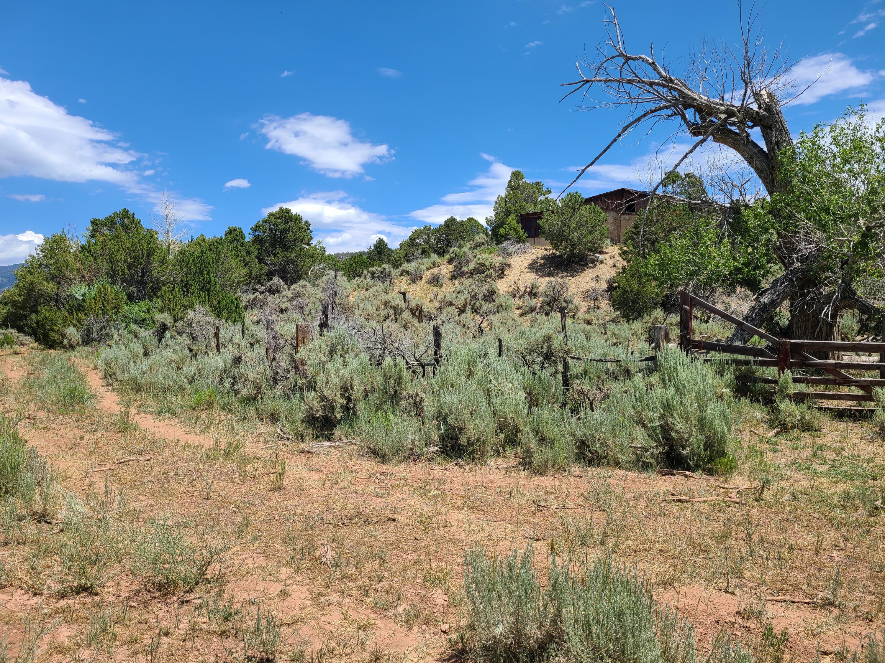 28 Arroyo Hondo Road