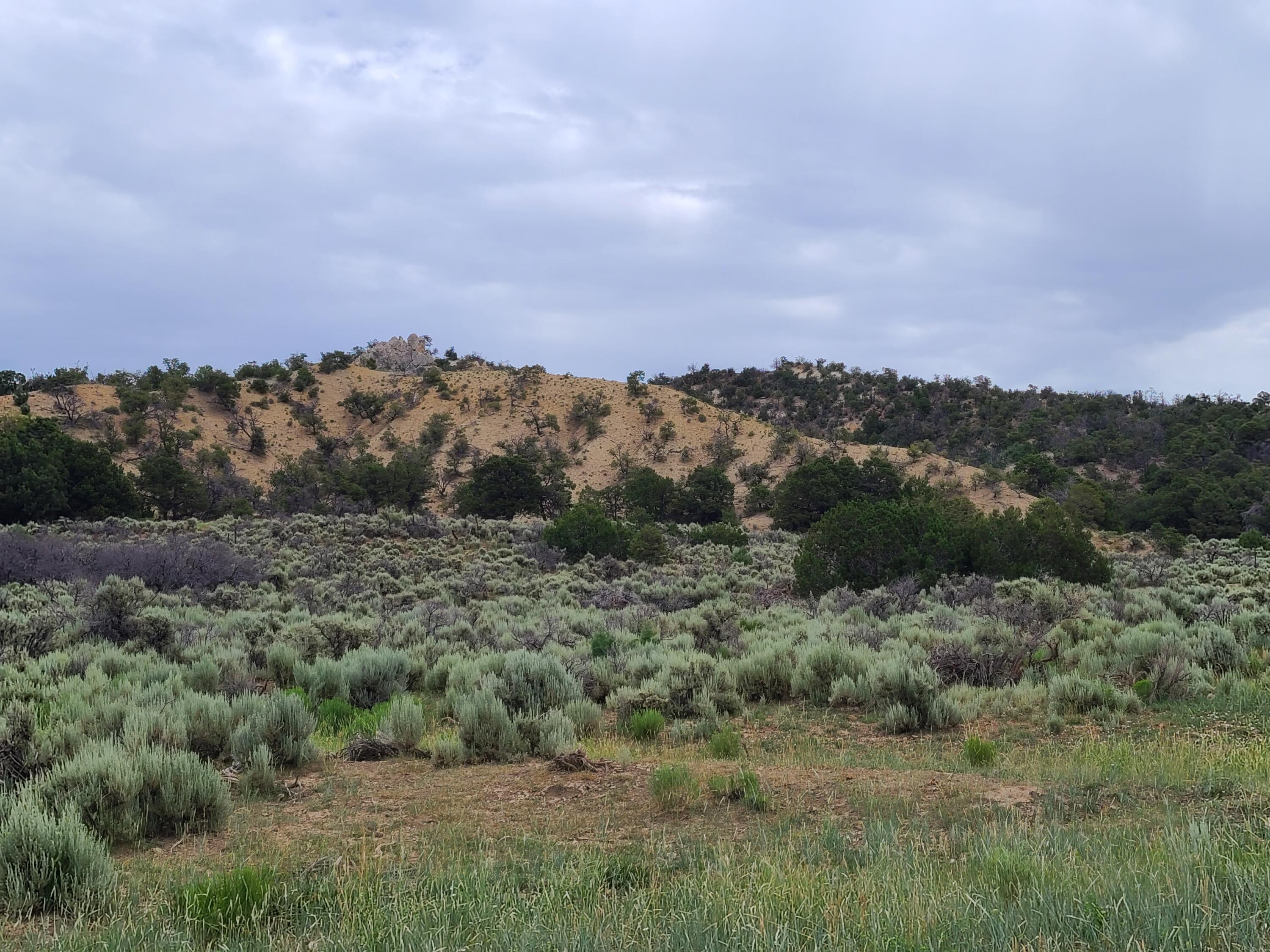 28 Arroyo Hondo Road