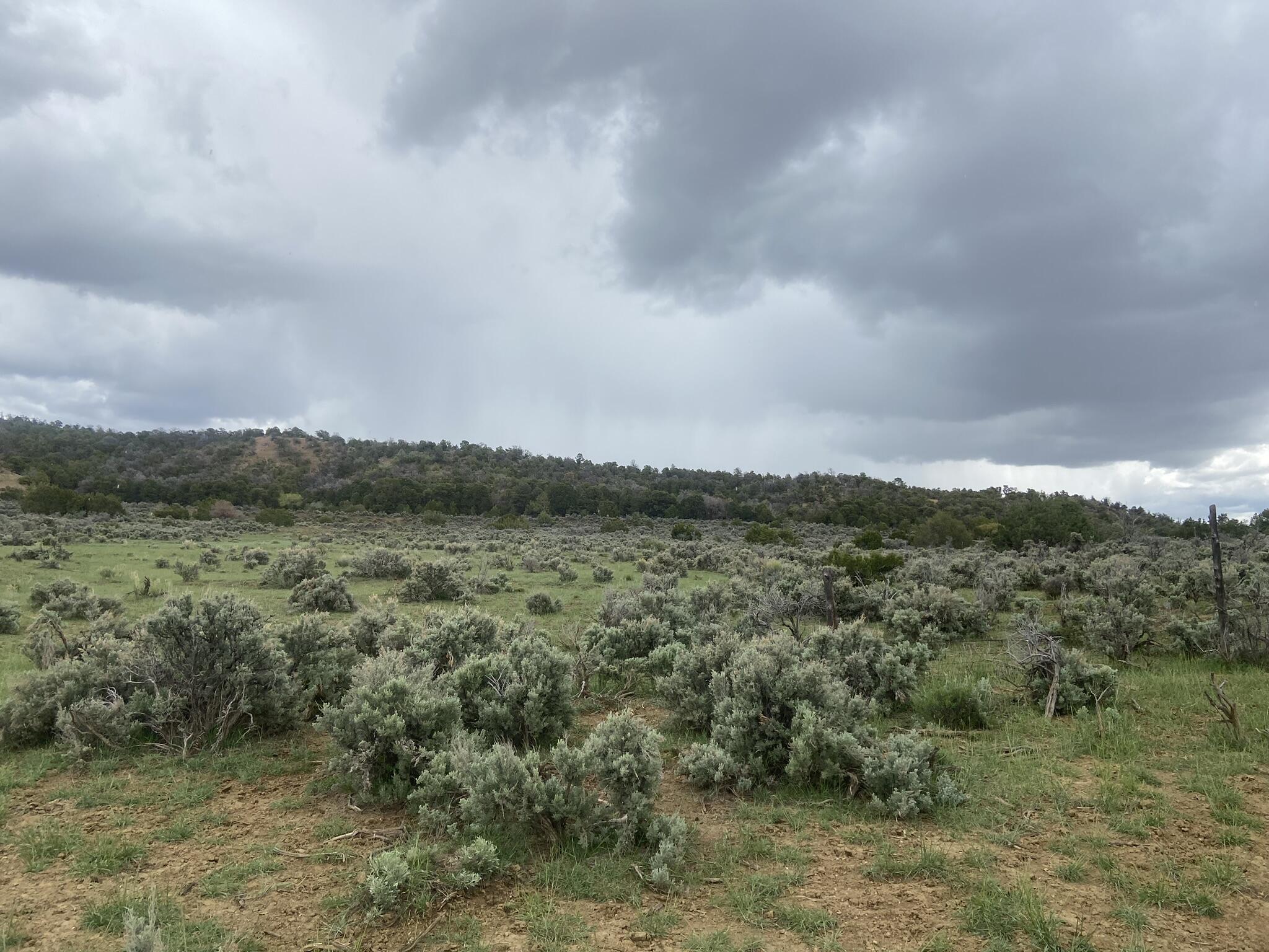 28 Arroyo Hondo Road