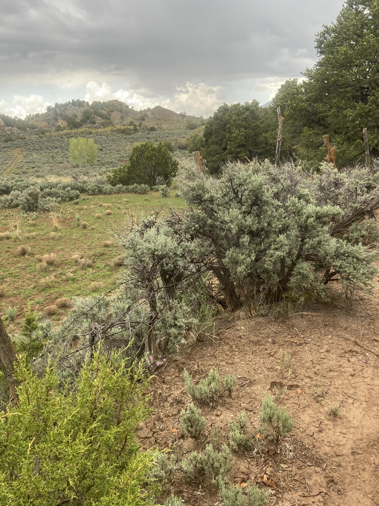 28 Arroyo Hondo Road
