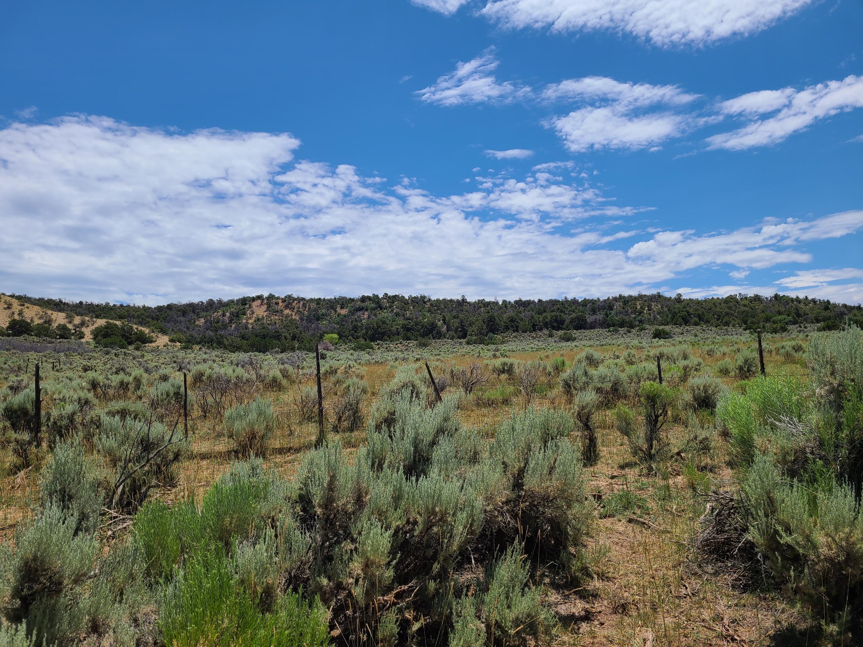28 Arroyo Hondo Road