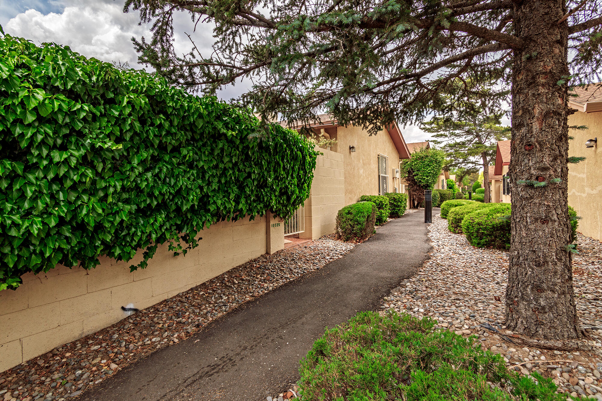 10525 Griffith Park Drive NE