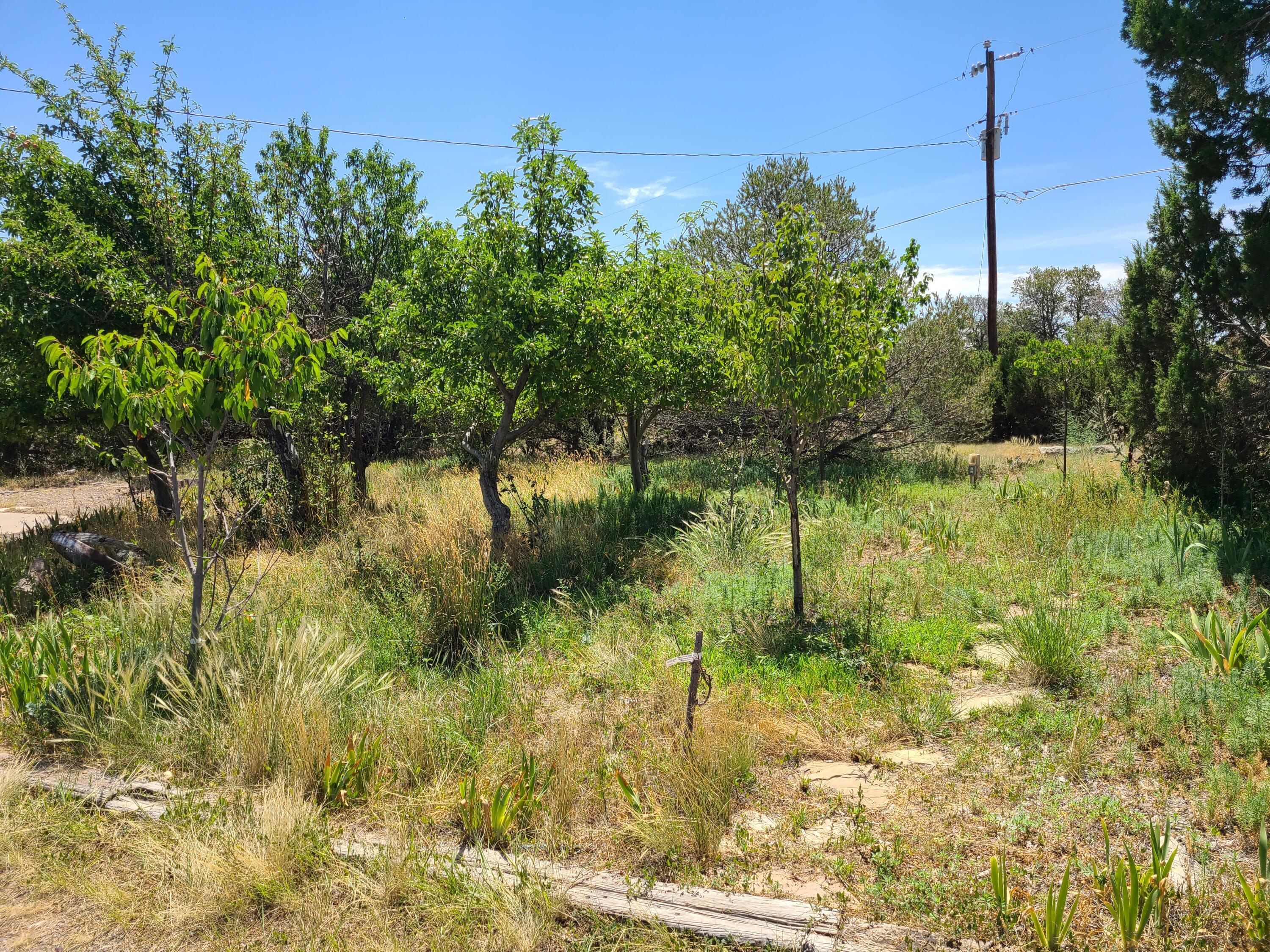 58 W Willard Road