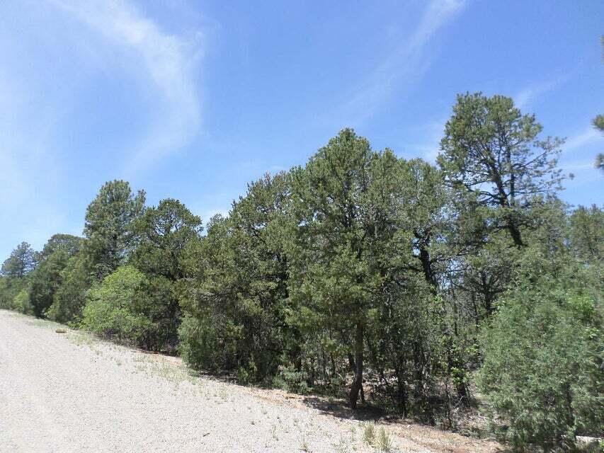 15 Secret Pines Court