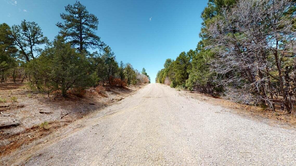 15 Secret Pines Court