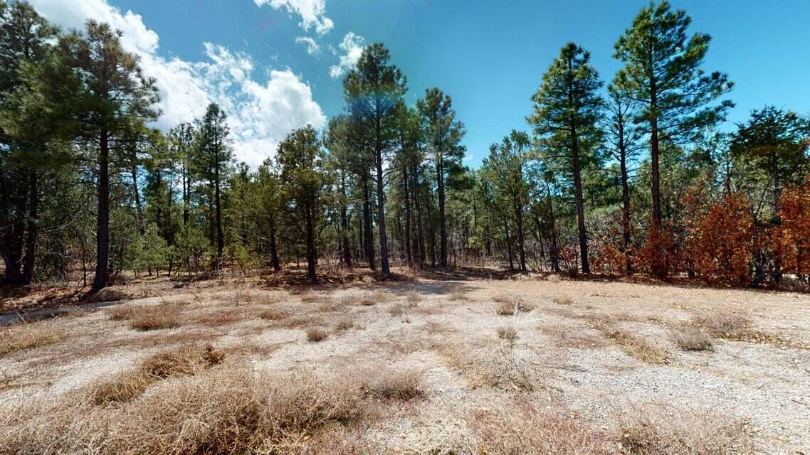 15 Secret Pines Court