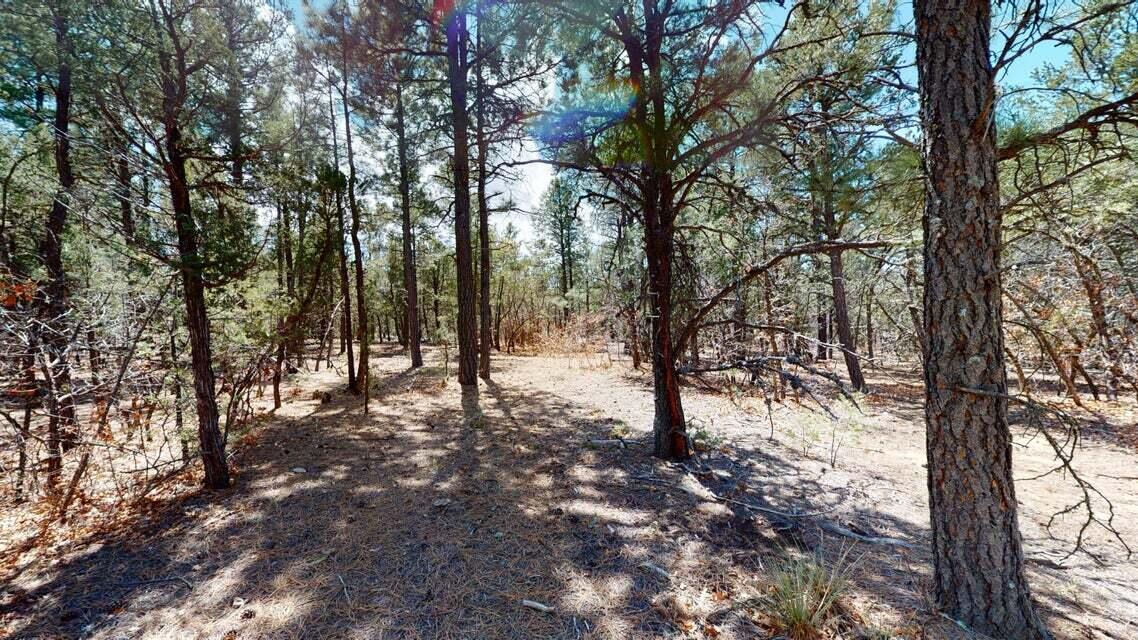 15 Secret Pines Court
