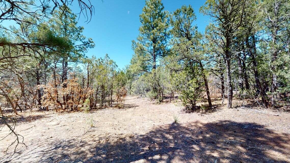15 Secret Pines Court