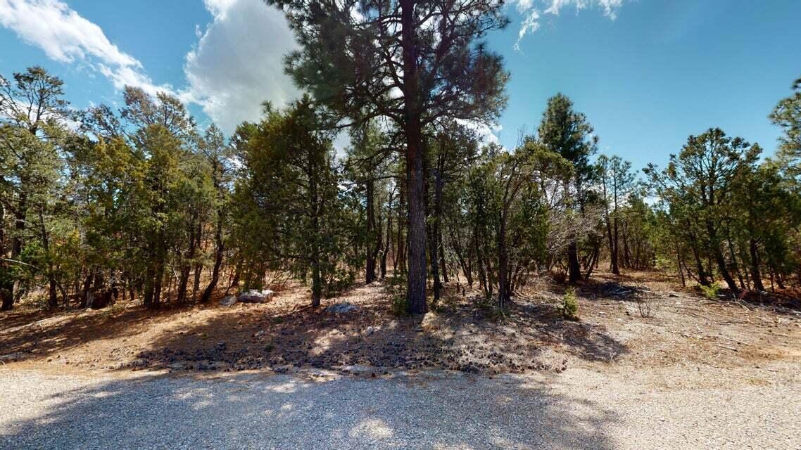 15 Secret Pines Court