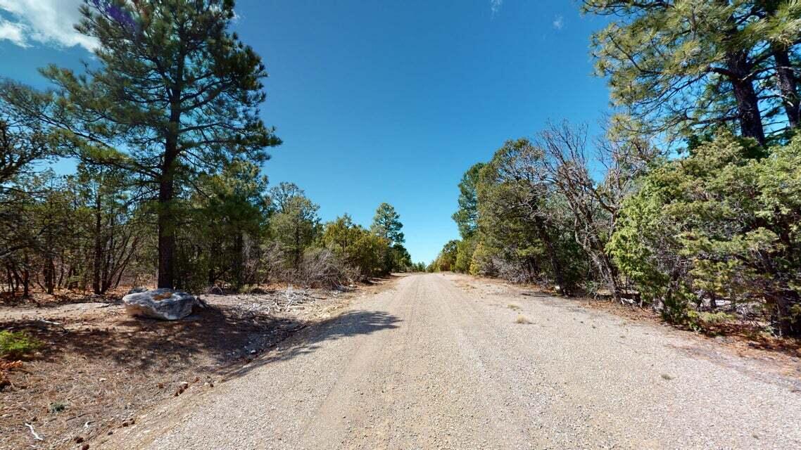 15 Secret Pines Court