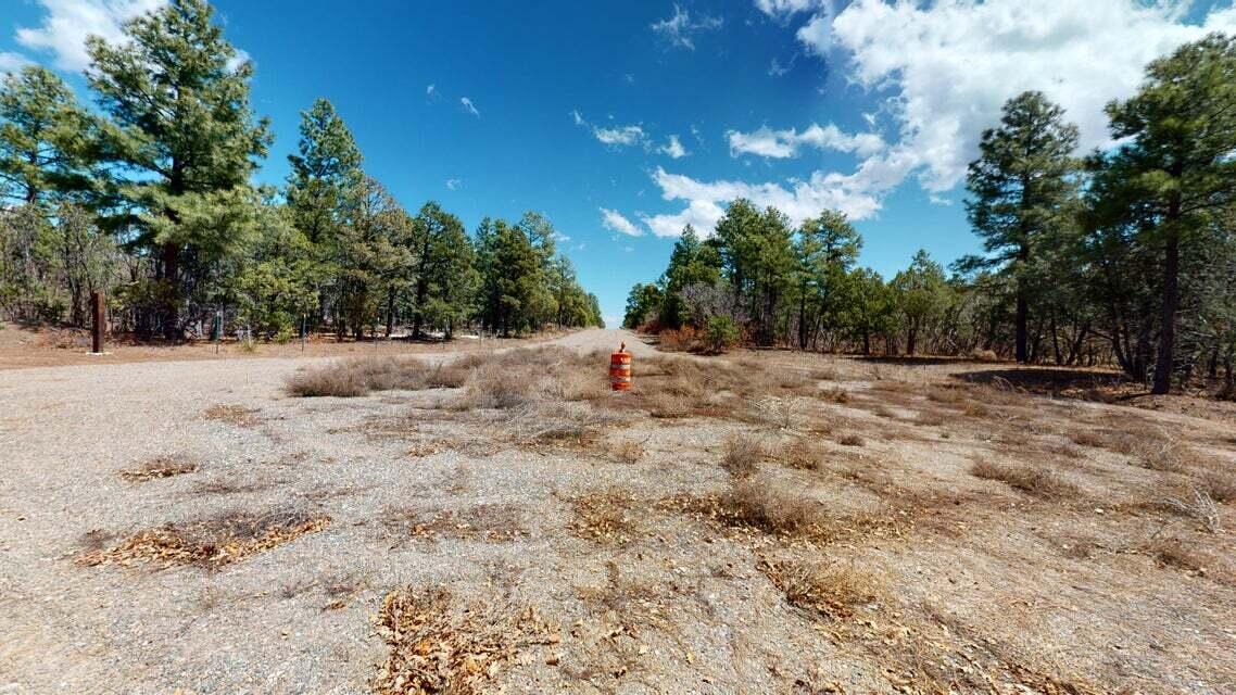 15 Secret Pines Court