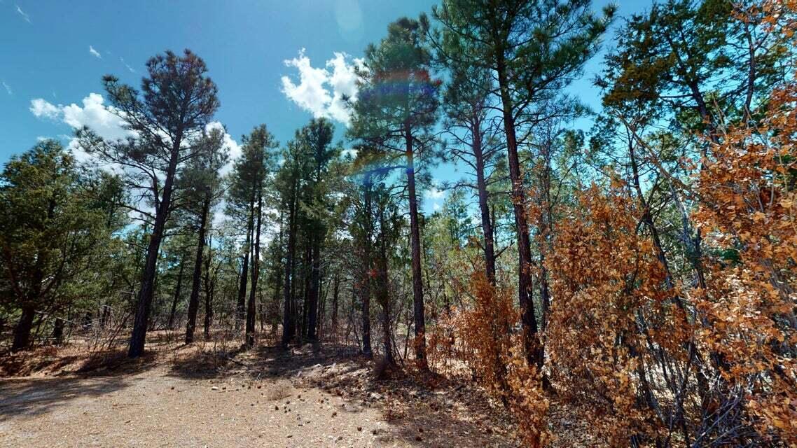 15 Secret Pines Court