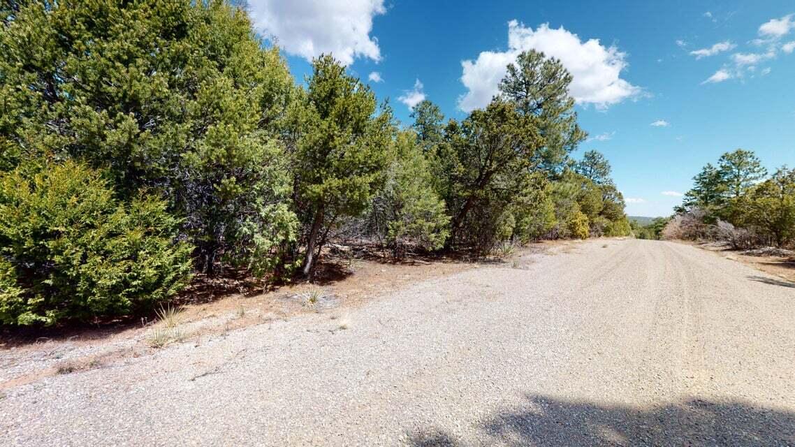 15 Secret Pines Court