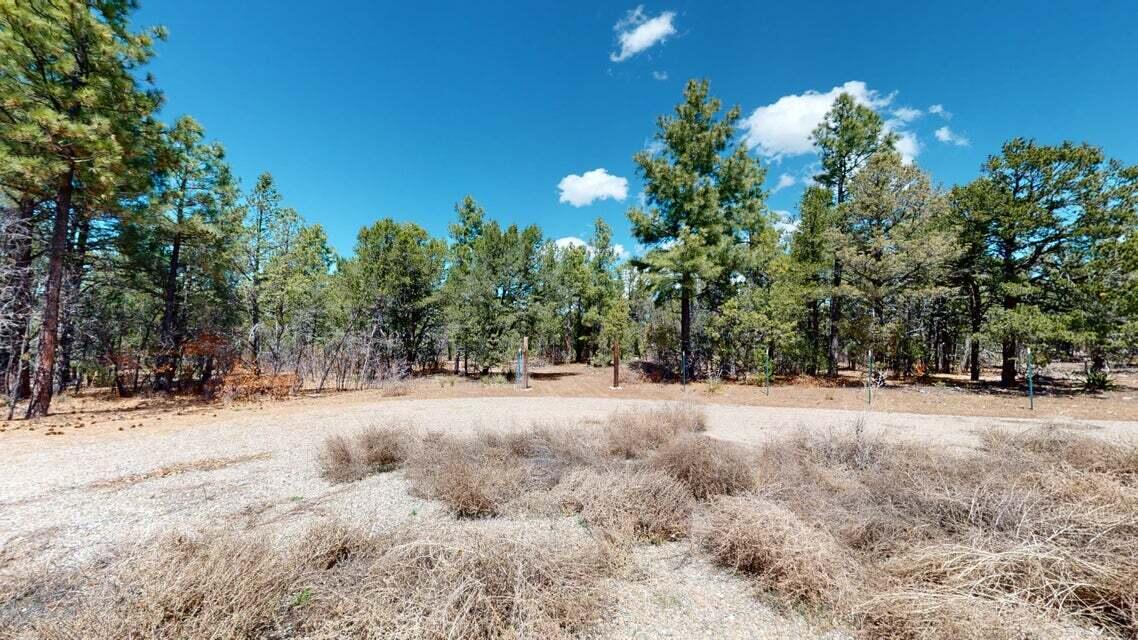 15 Secret Pines Court