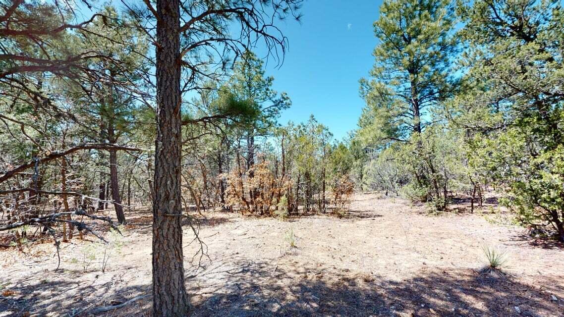 15 Secret Pines Court