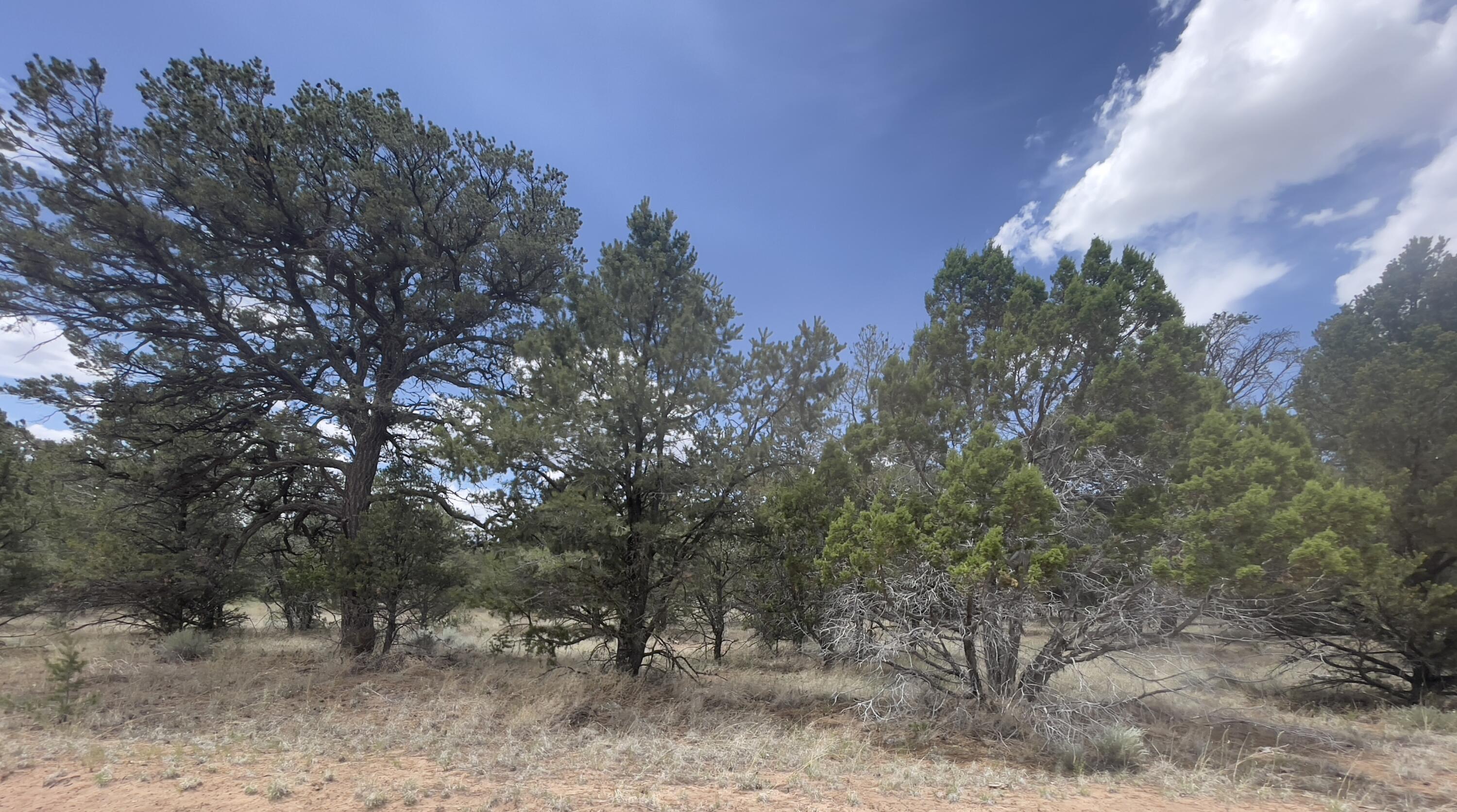 Tract 2-B W Bar Road