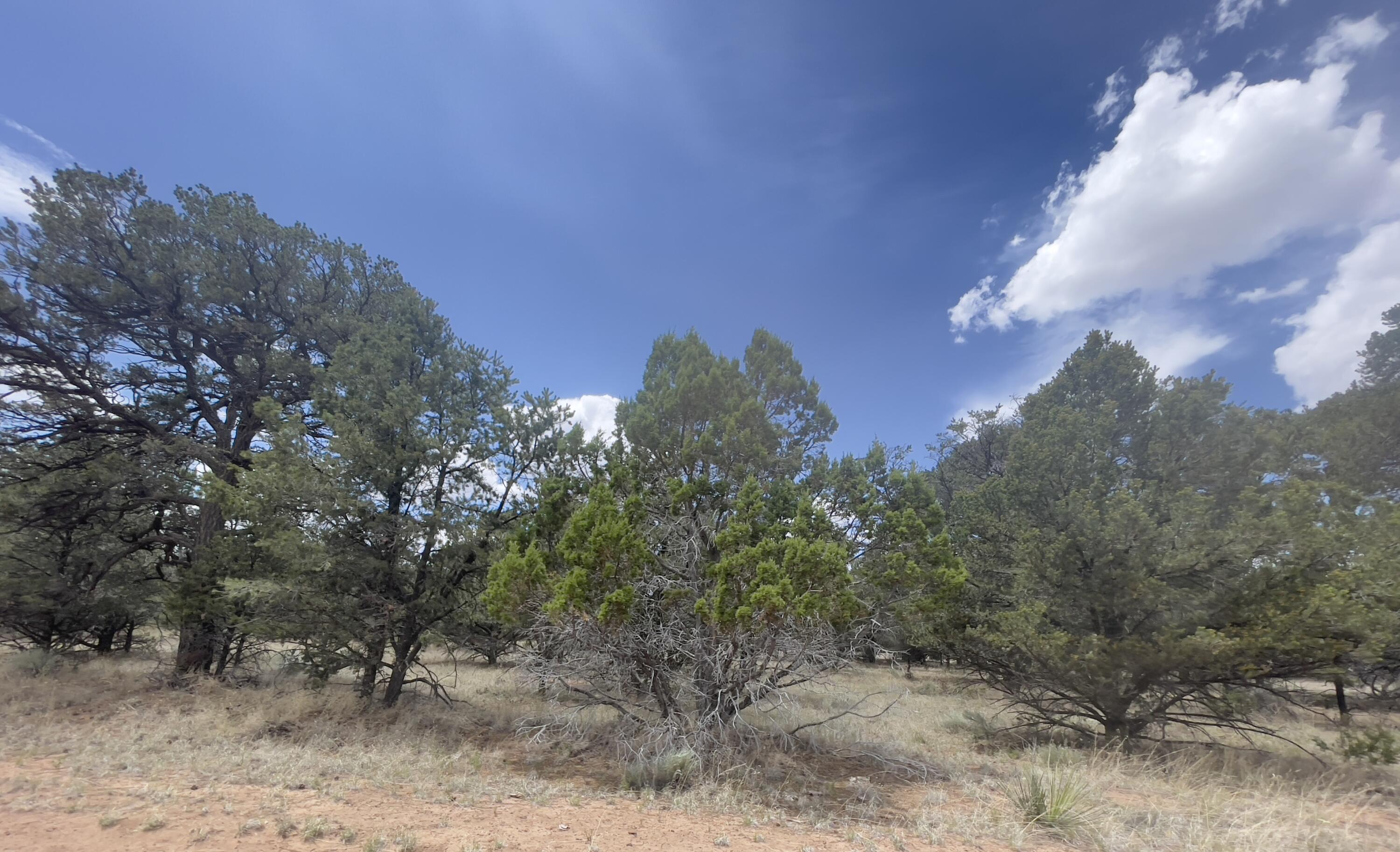 Tract 2-B W Bar Road