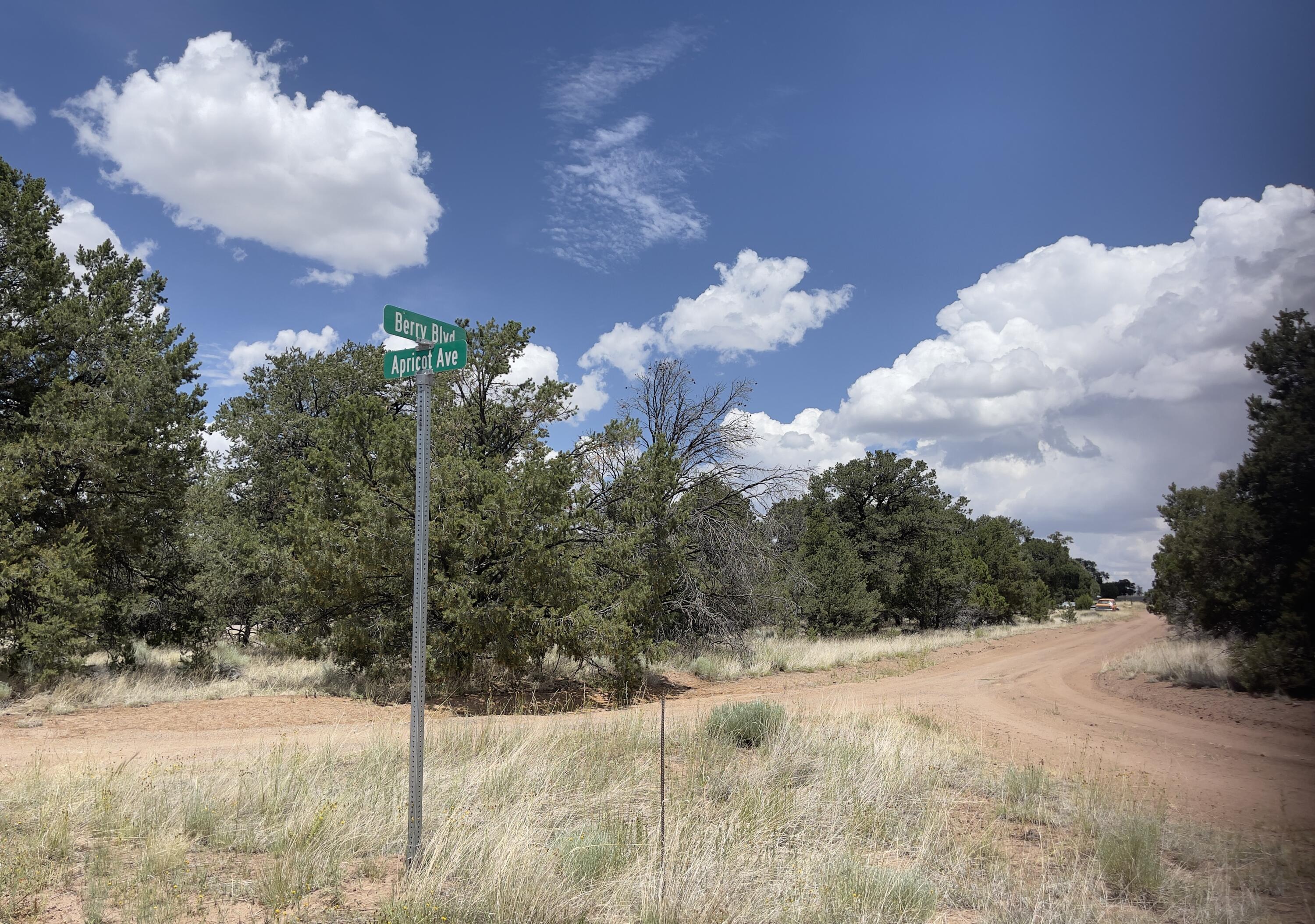 Tract 2-B W Bar Road