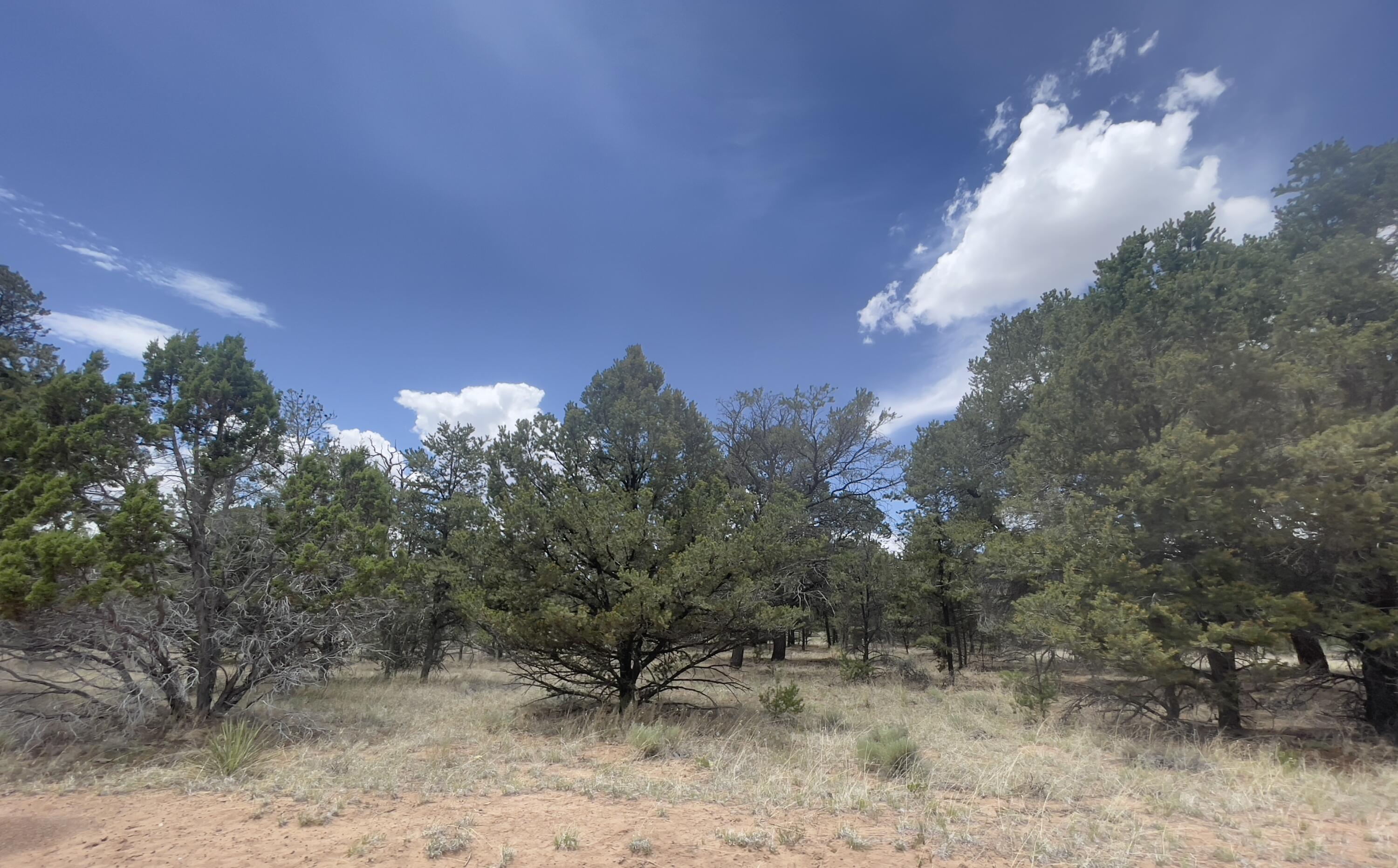 Tract 2-B W Bar Road