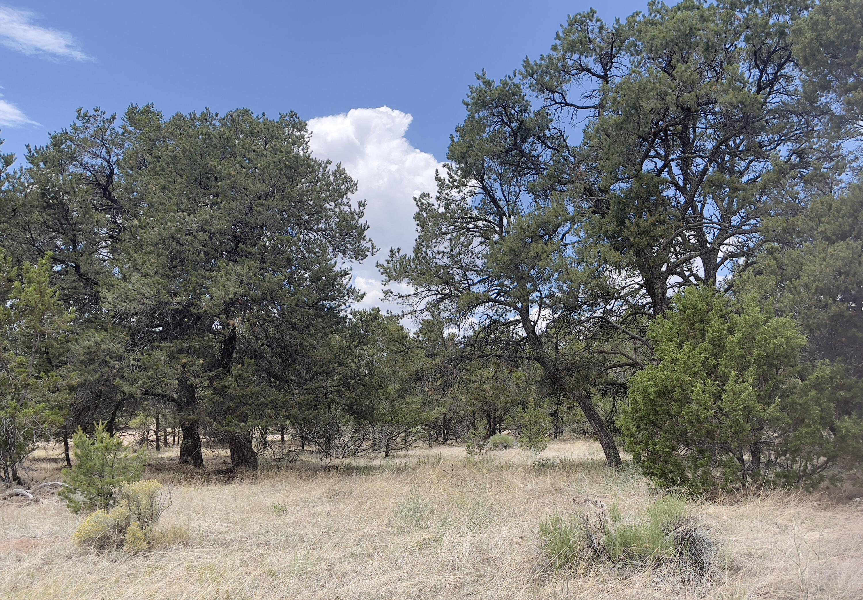 Tract 2-B W Bar Road
