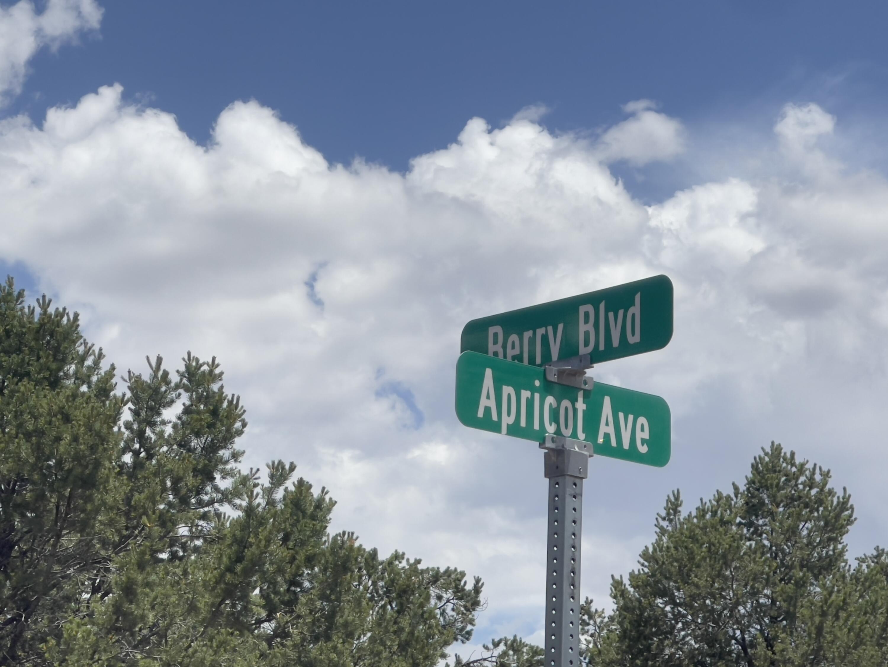 Tract 2-B W Bar Road