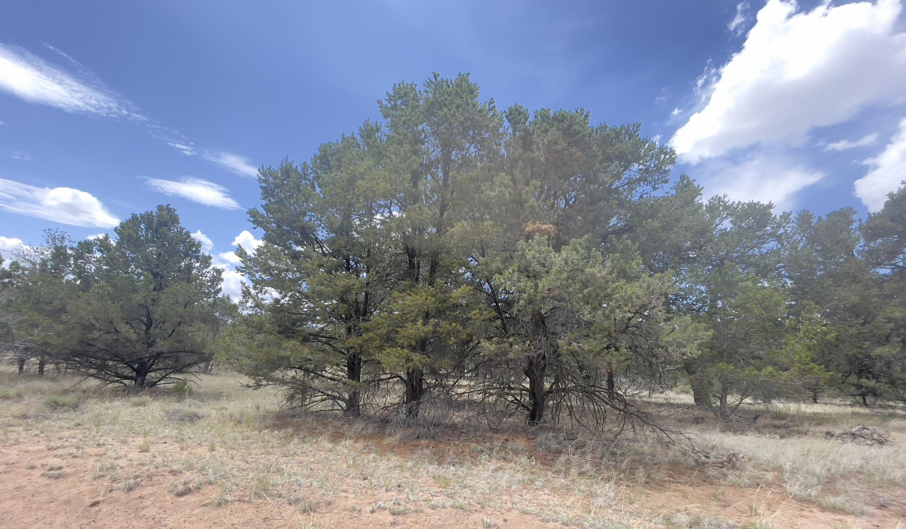 Tract 2-B W Bar Road