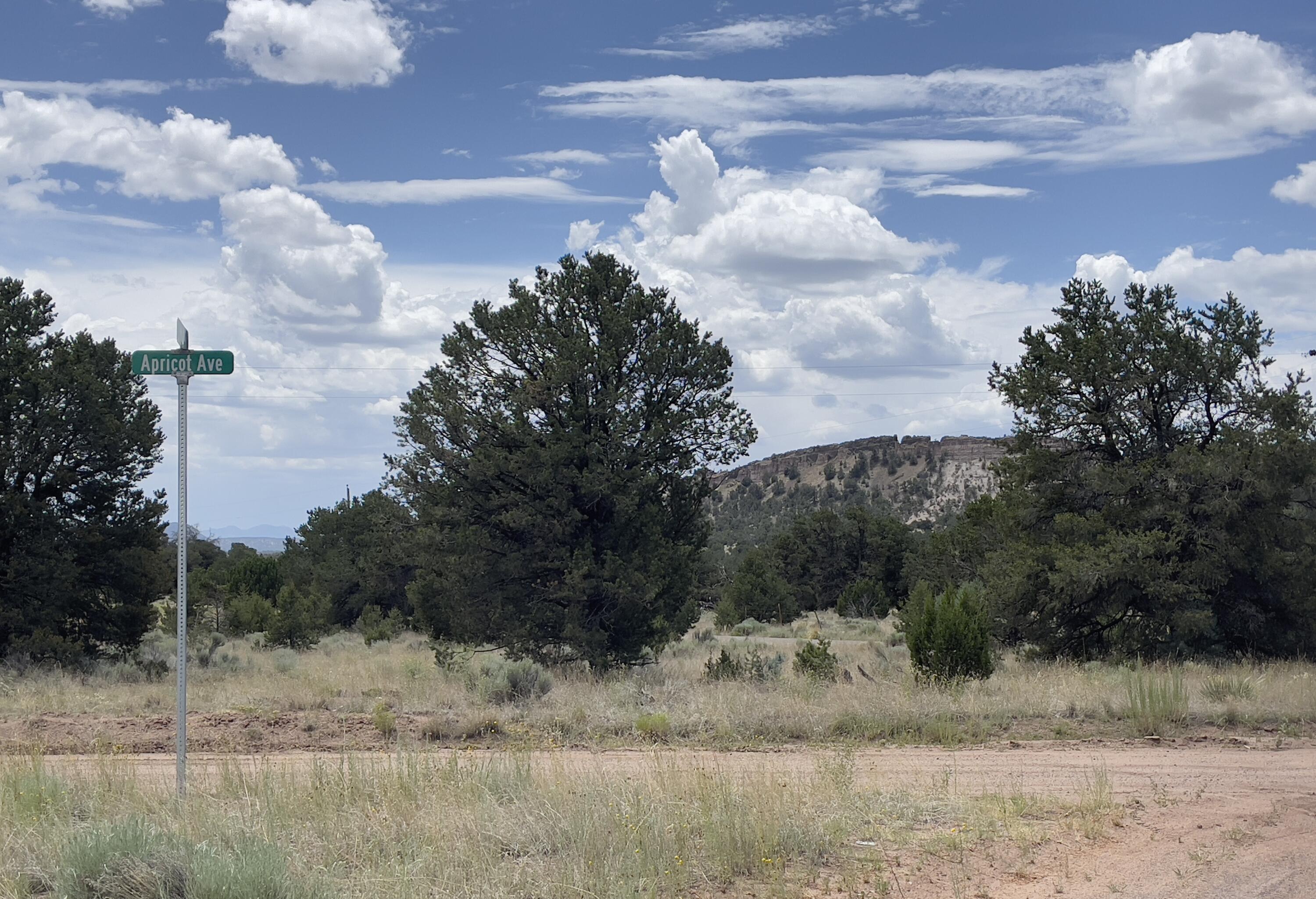 Tract 2-B W Bar Road