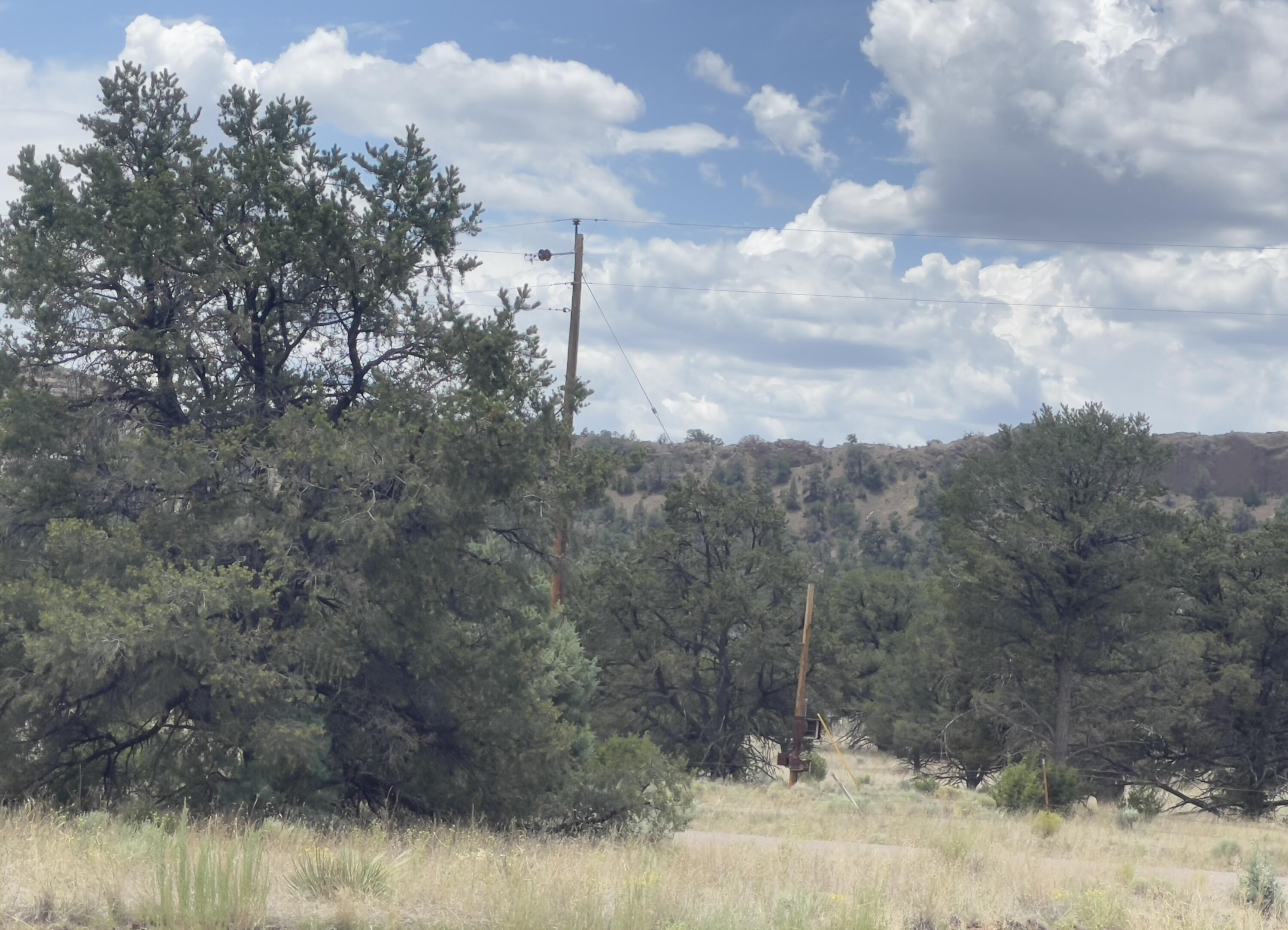 Tract 2-B W Bar Road