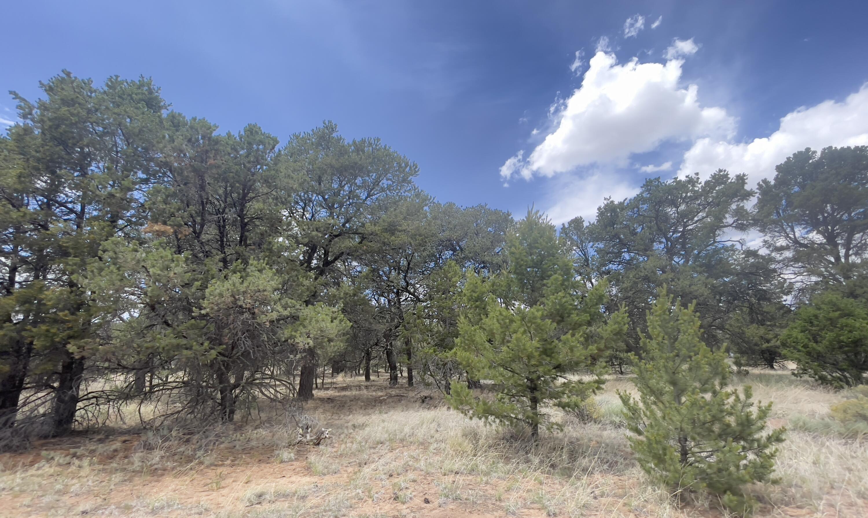 Tract 2-B W Bar Road
