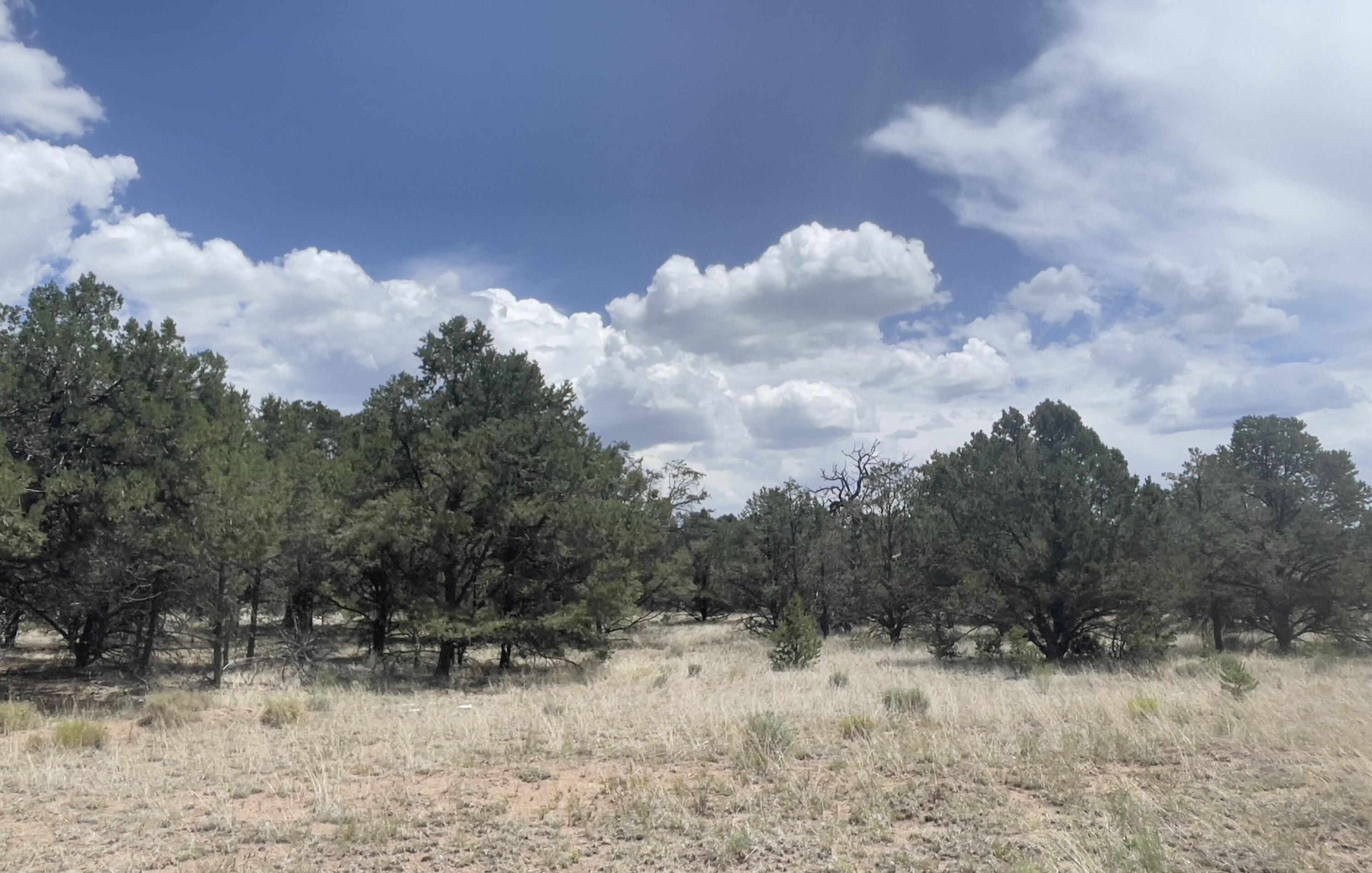 Tract 2-B W Bar Road