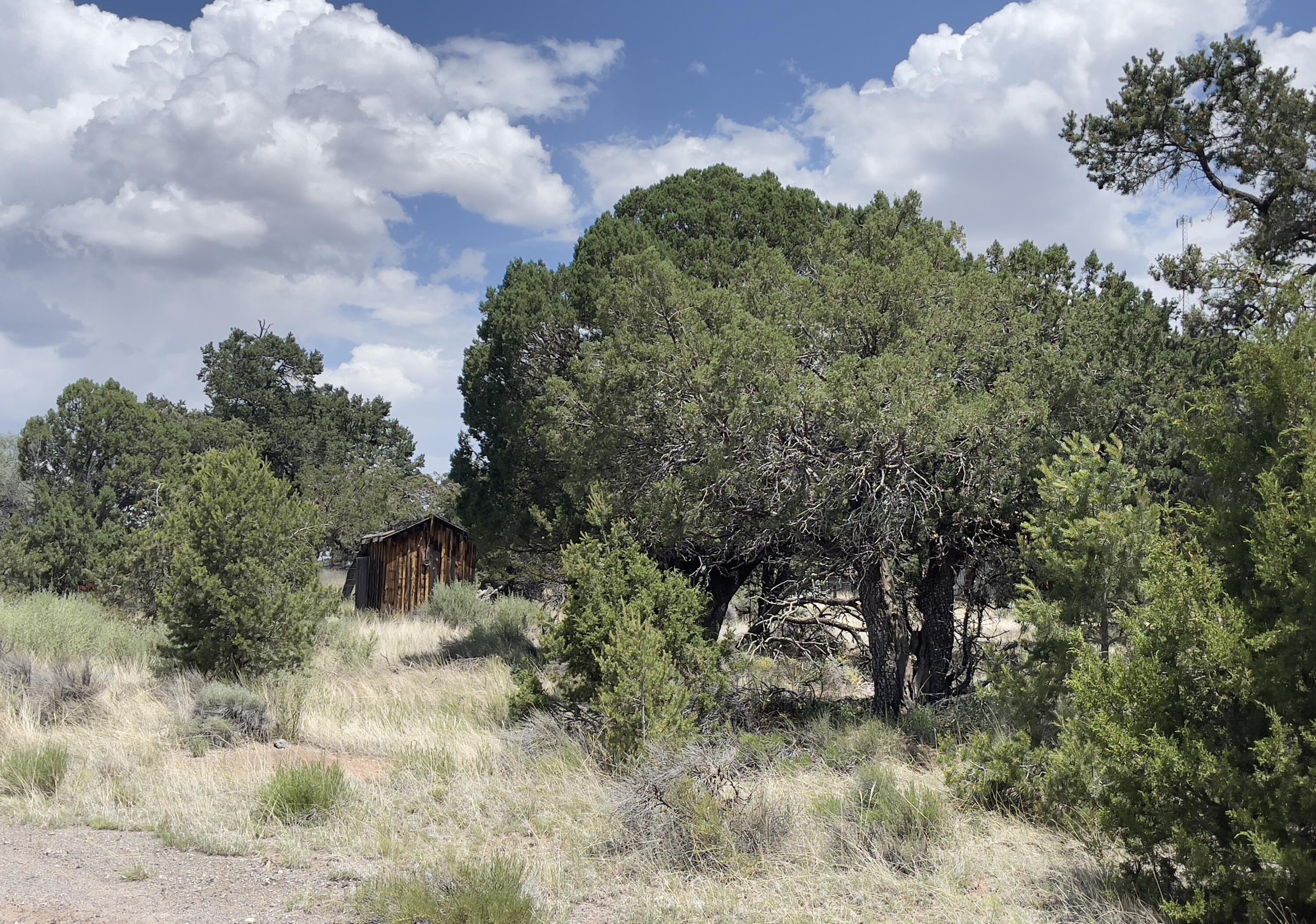 Tract 2-B W Bar Road