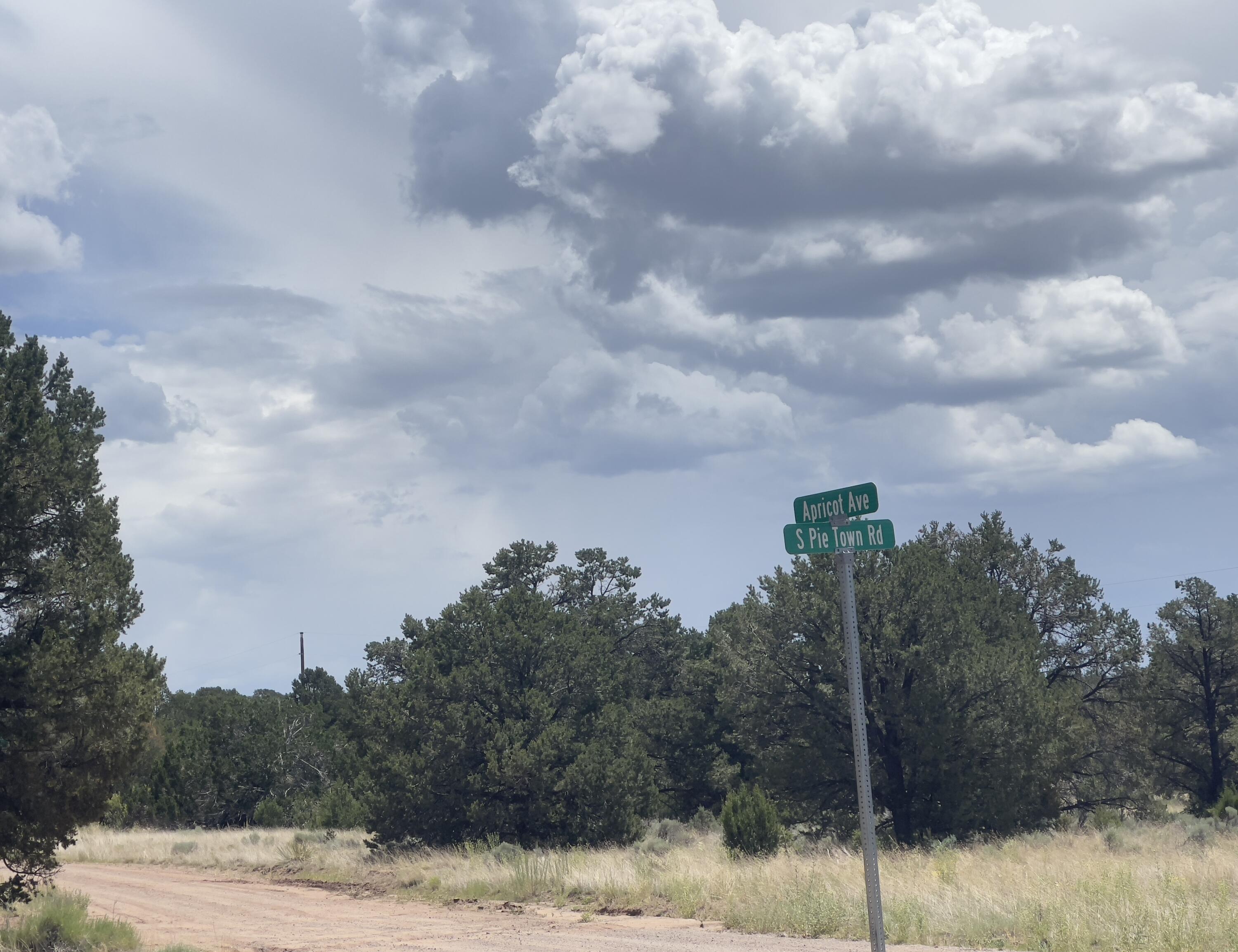 Tract 2-B W Bar Road