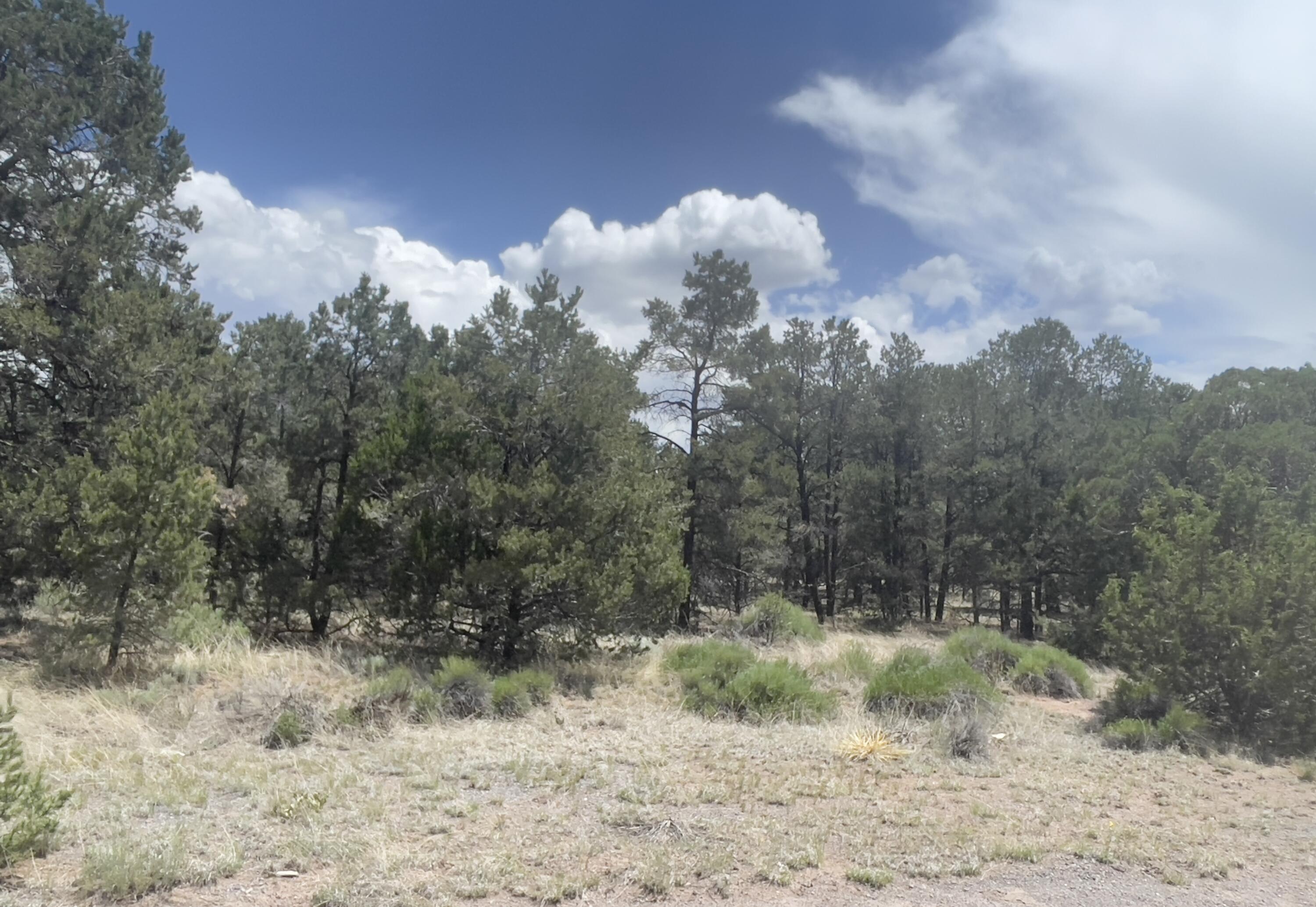 Tract 2-B W Bar Road